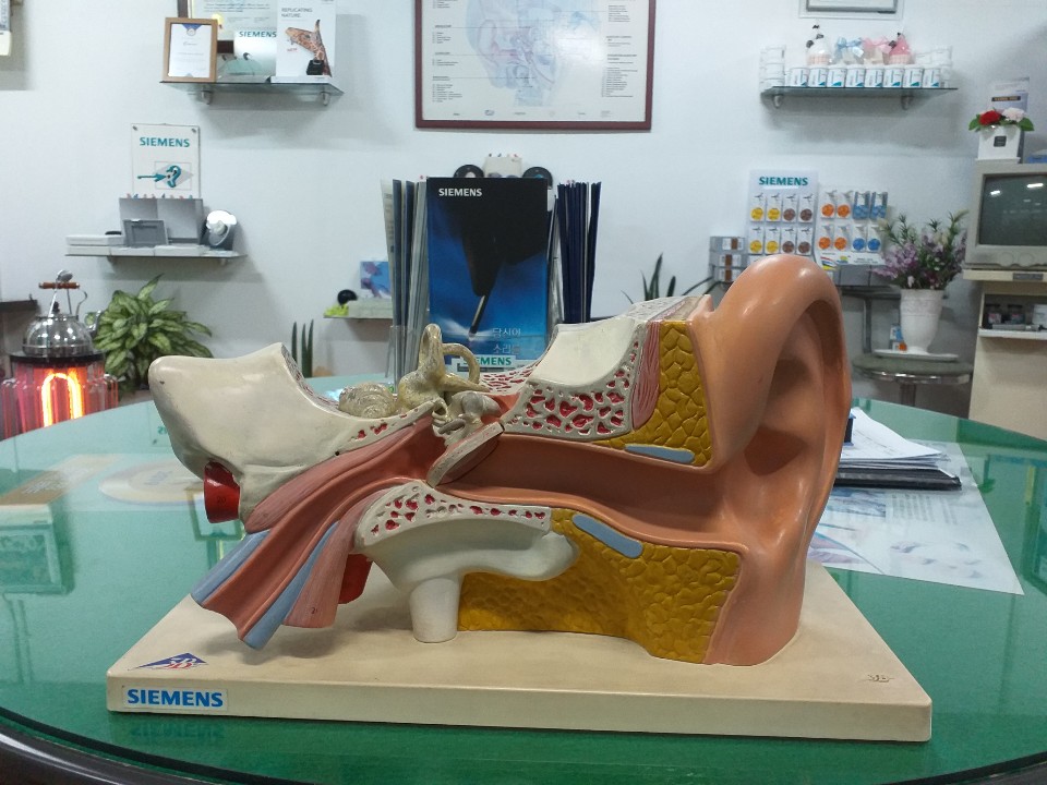 독일시그니아보청기 서면센터 대표 이미지