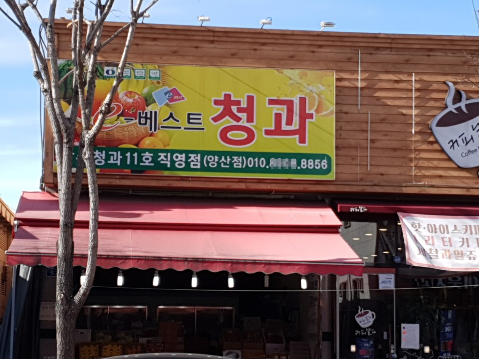 E베스트청과