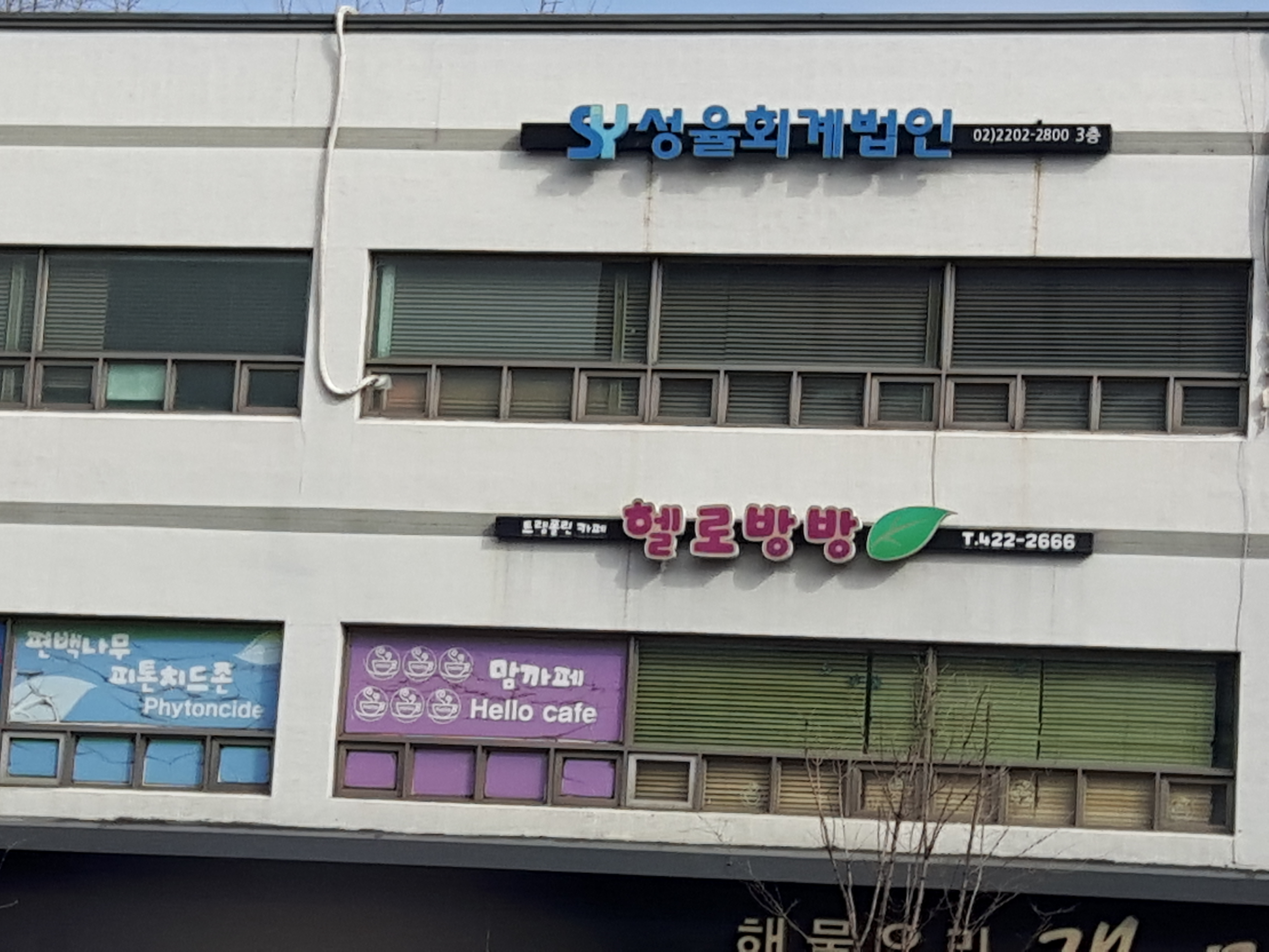 성율회계법인