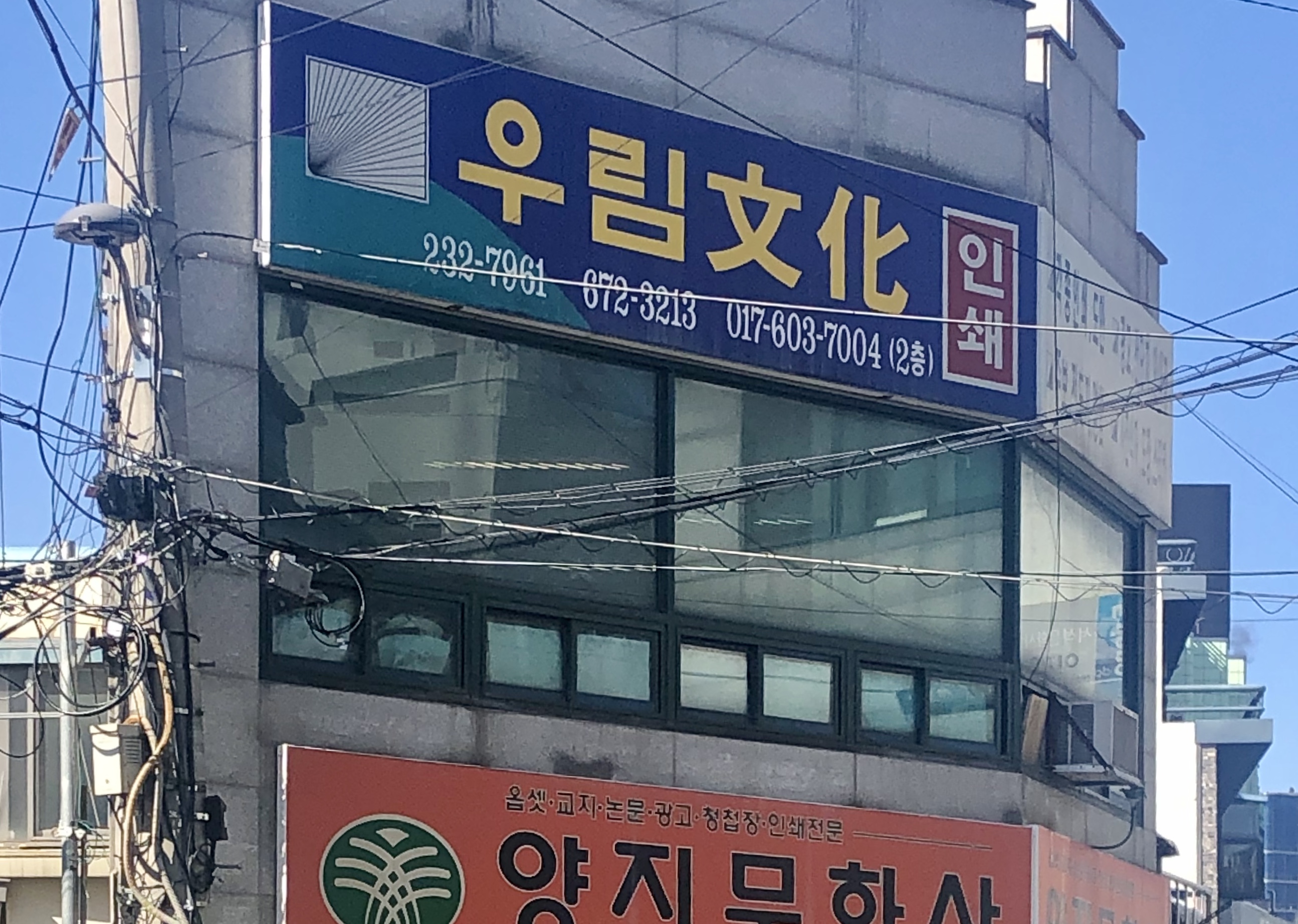 우림문화