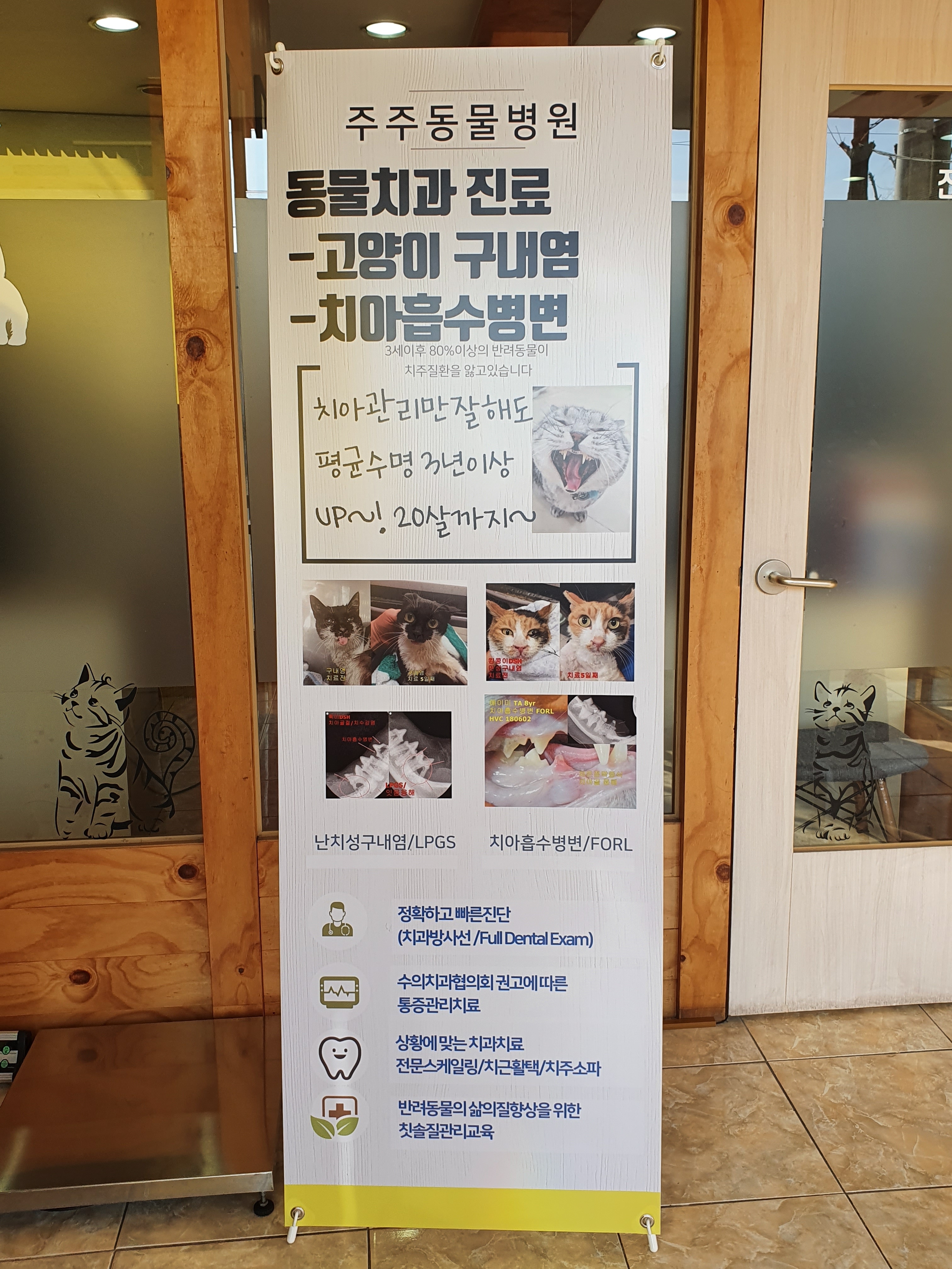 주주동물병원 대표 이미지