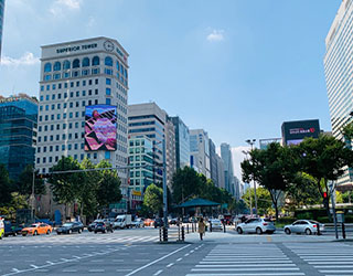 세이지의원 대표 이미지