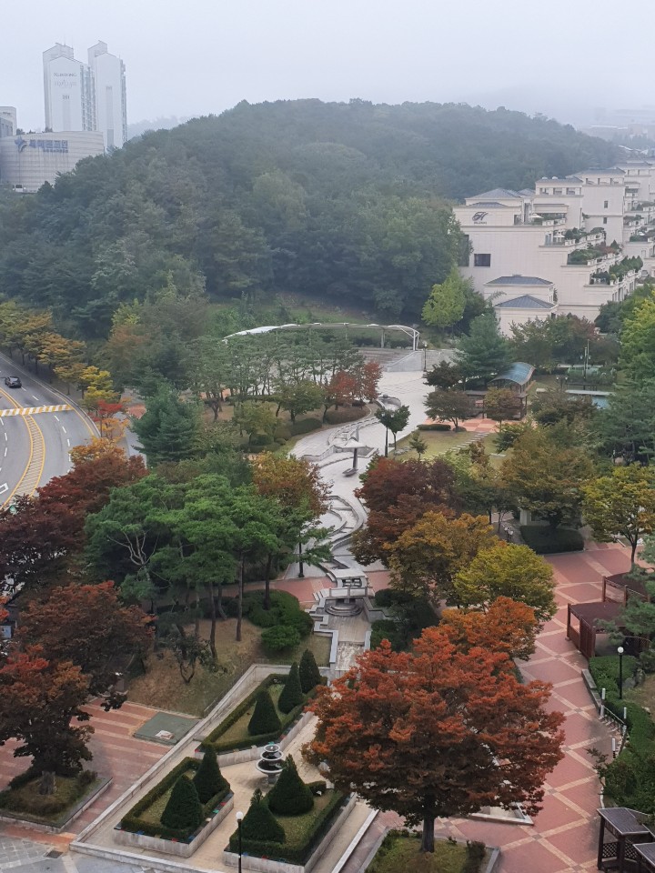 업체사진