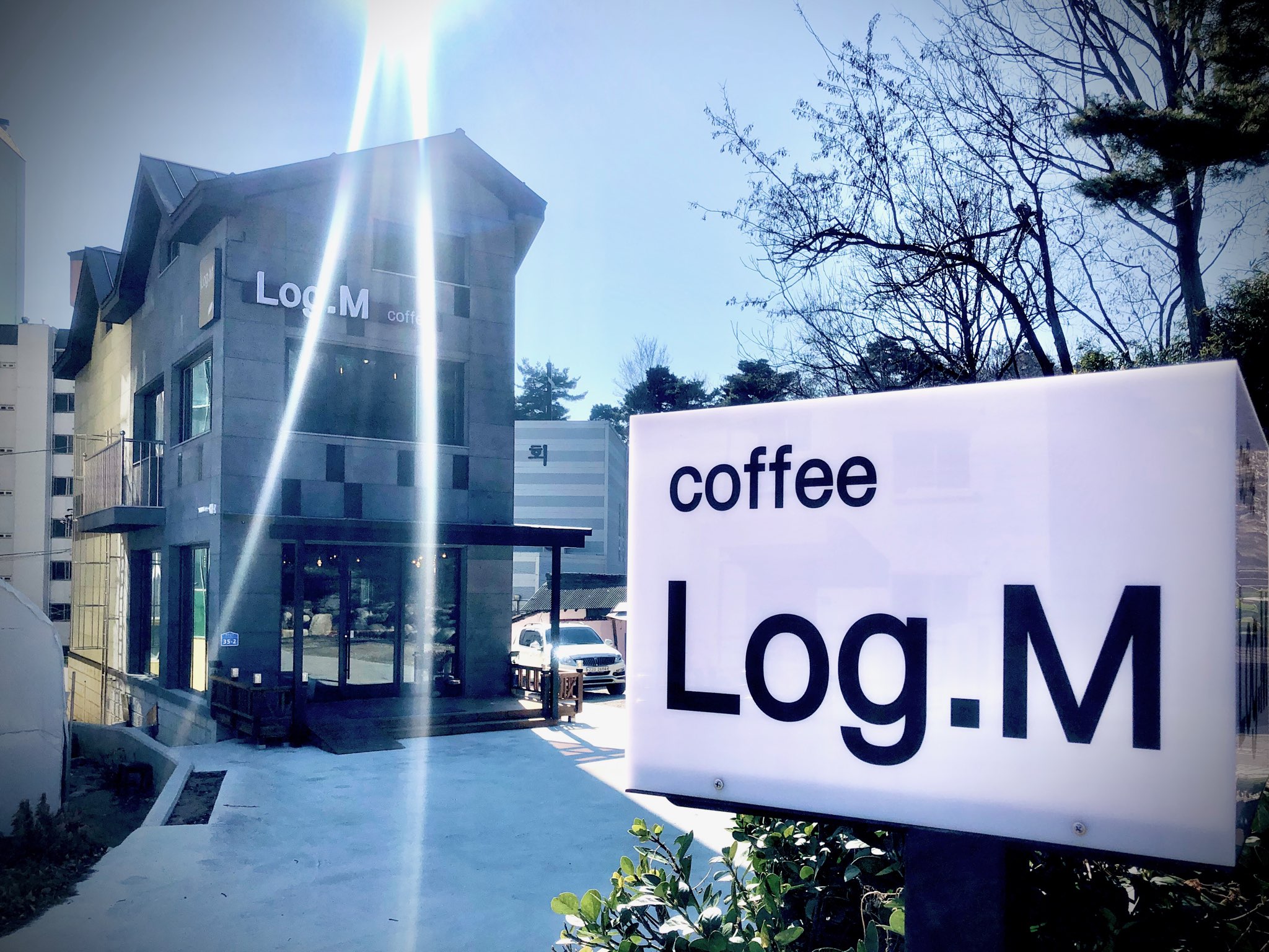 Log M