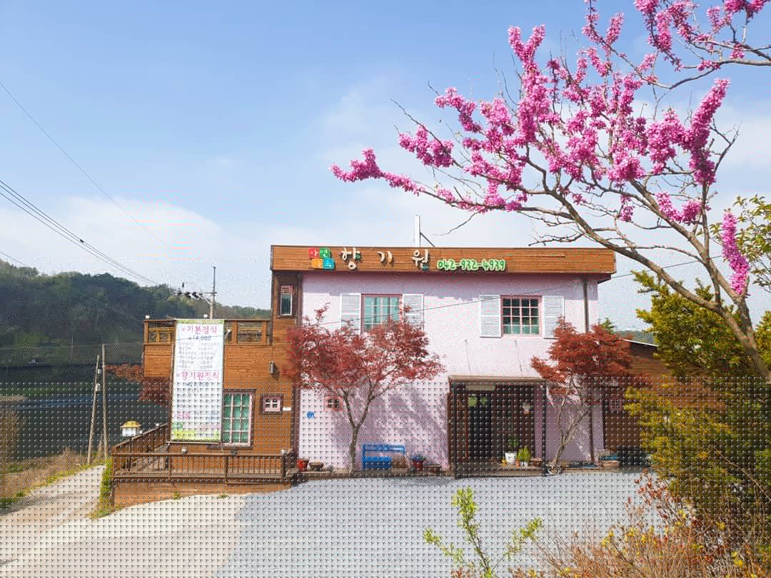대청댐 향기원 한정식