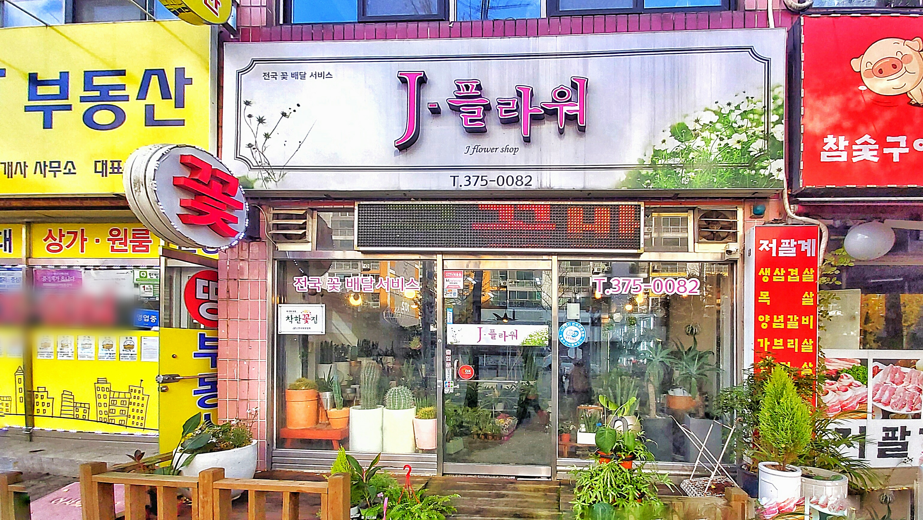 제이플라워