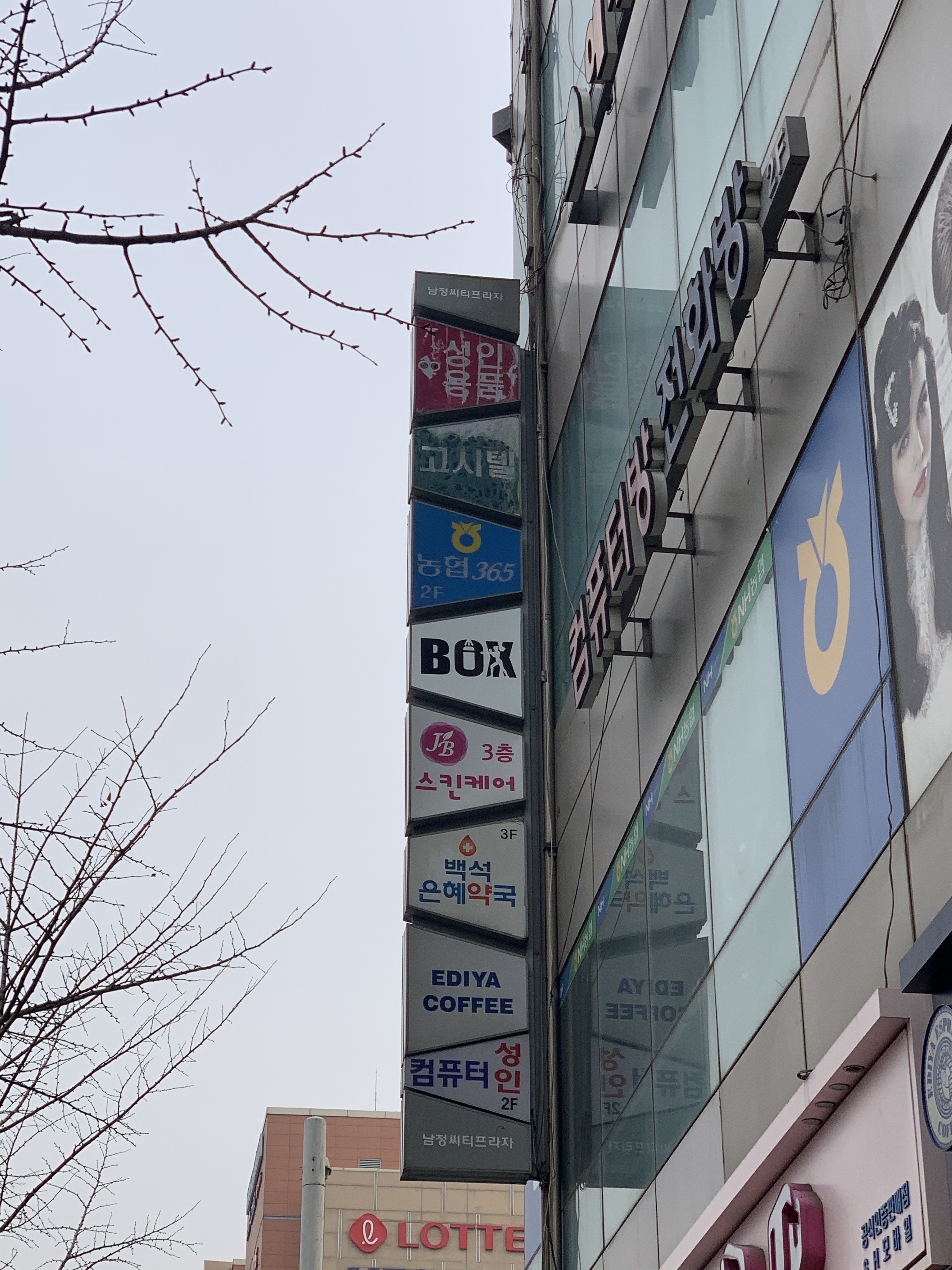 경기도 고양시 일산동구 복싱체육관 일산 Box-1 복싱 내부 모습 4