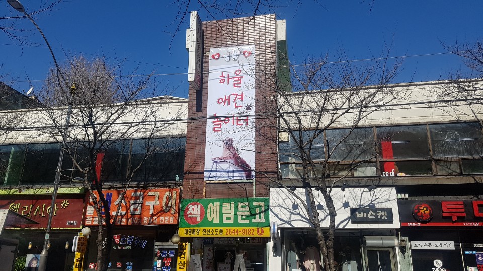 이미지