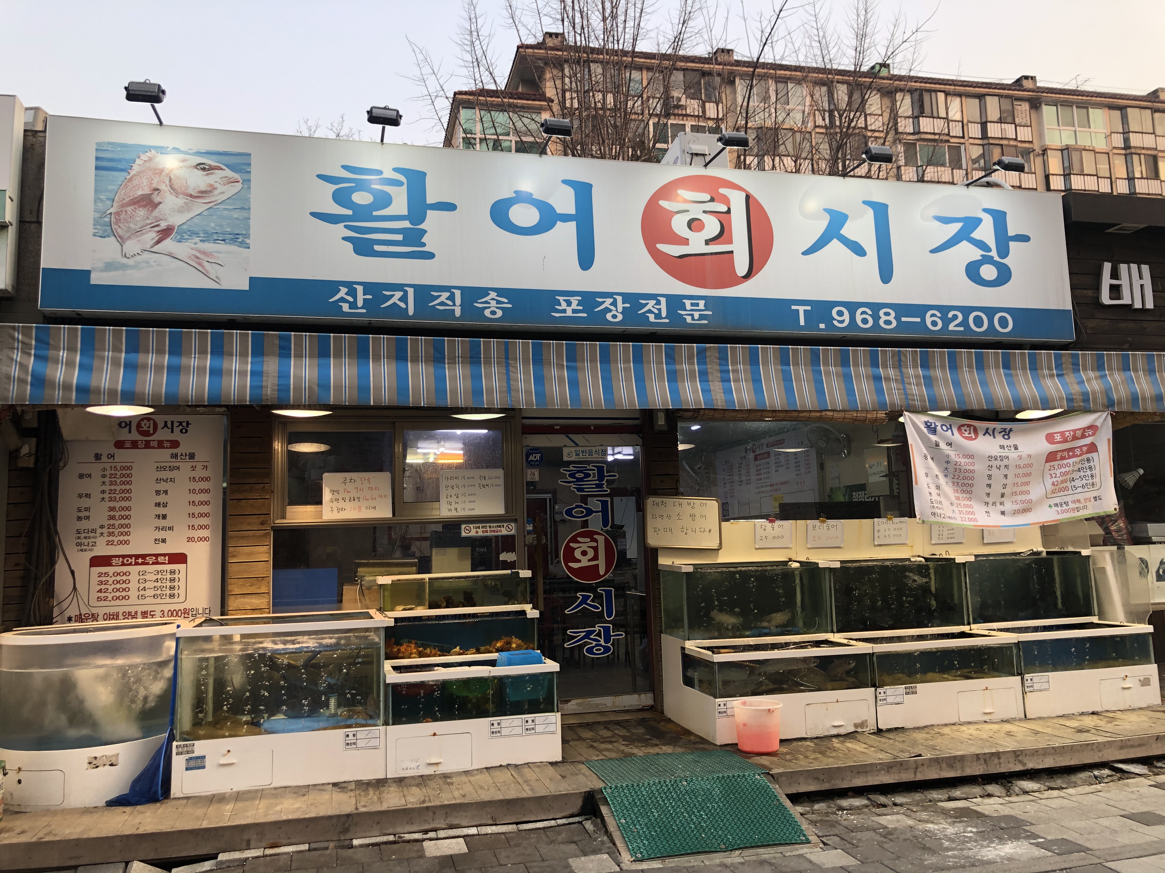 활어회시장