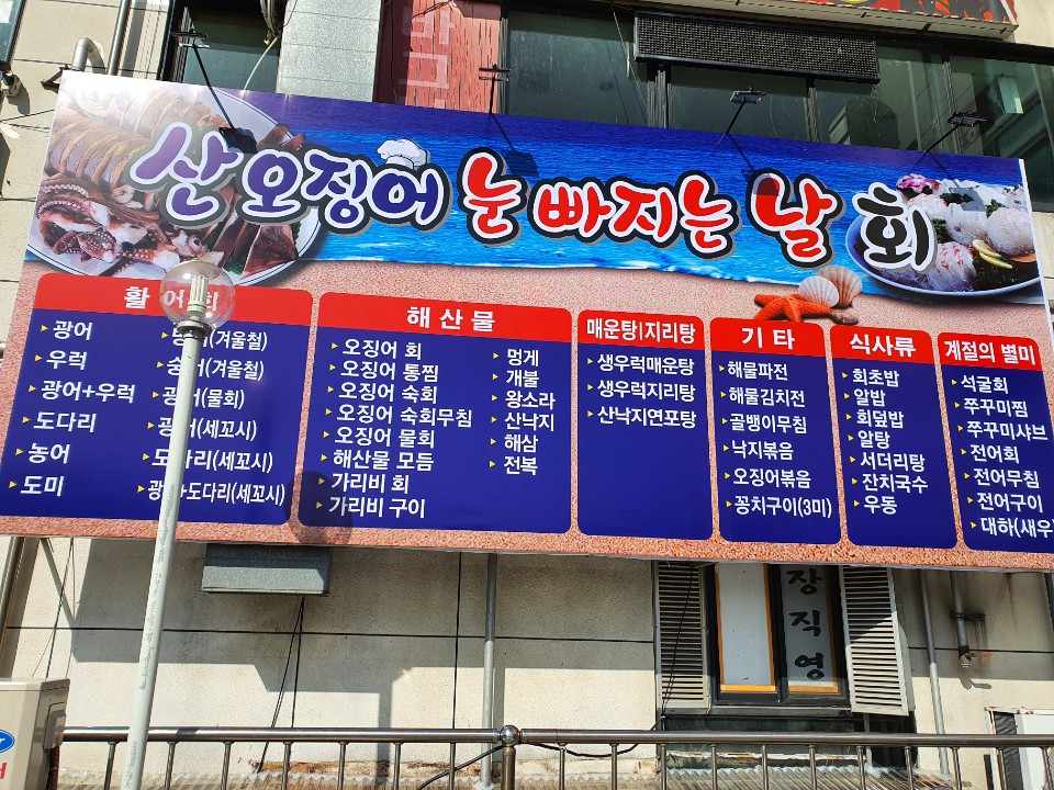 산오징어눈빠지는날