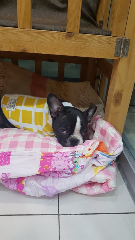 놀러오개 대표 이미지