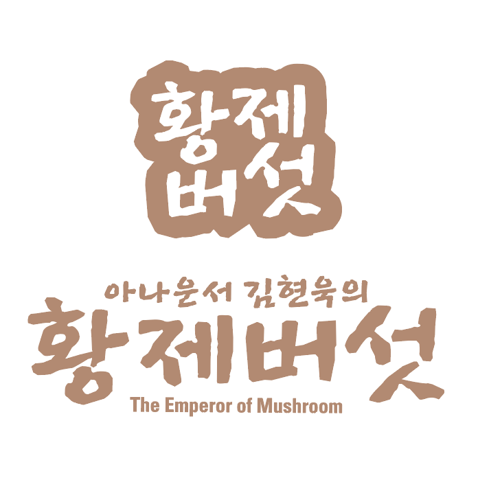 스텔라코리아