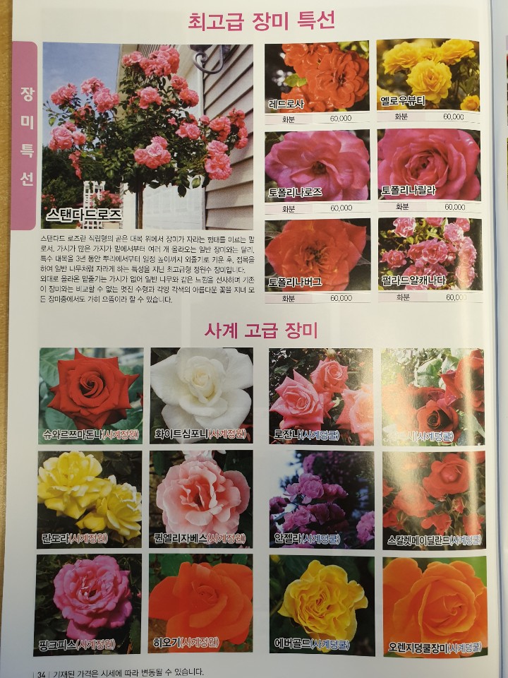 해밀원예조경