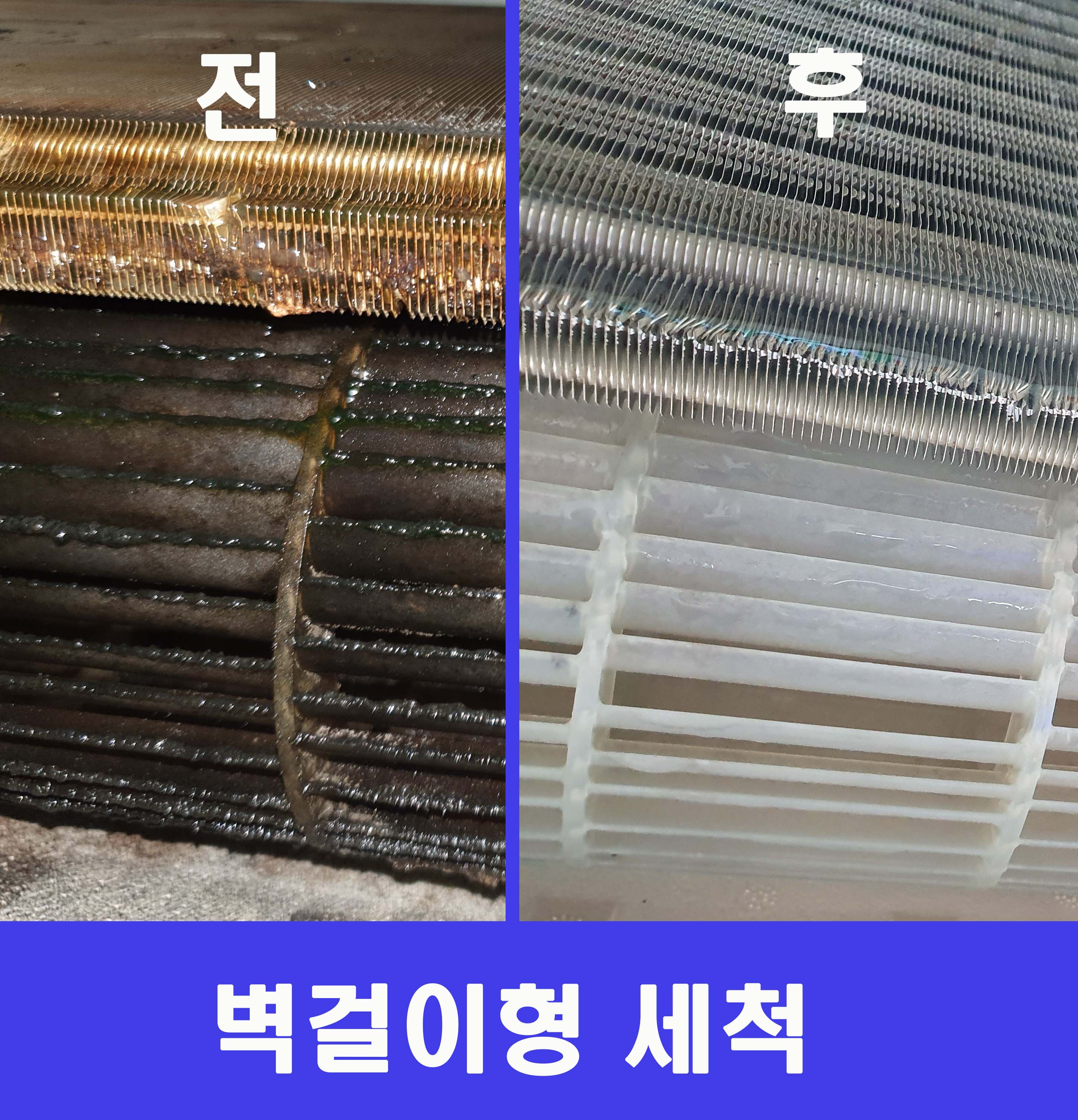 글로벌케어