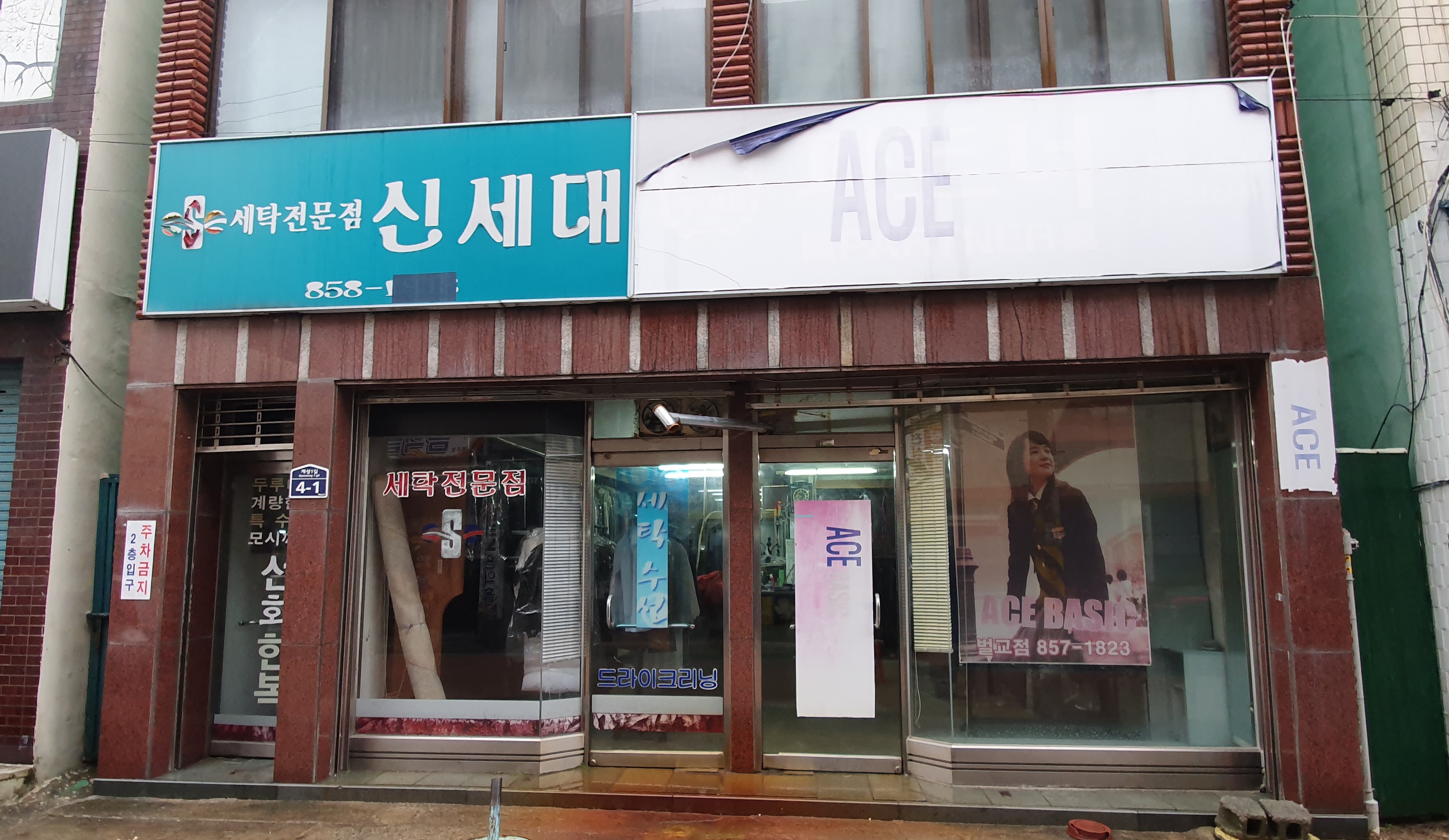 신세대