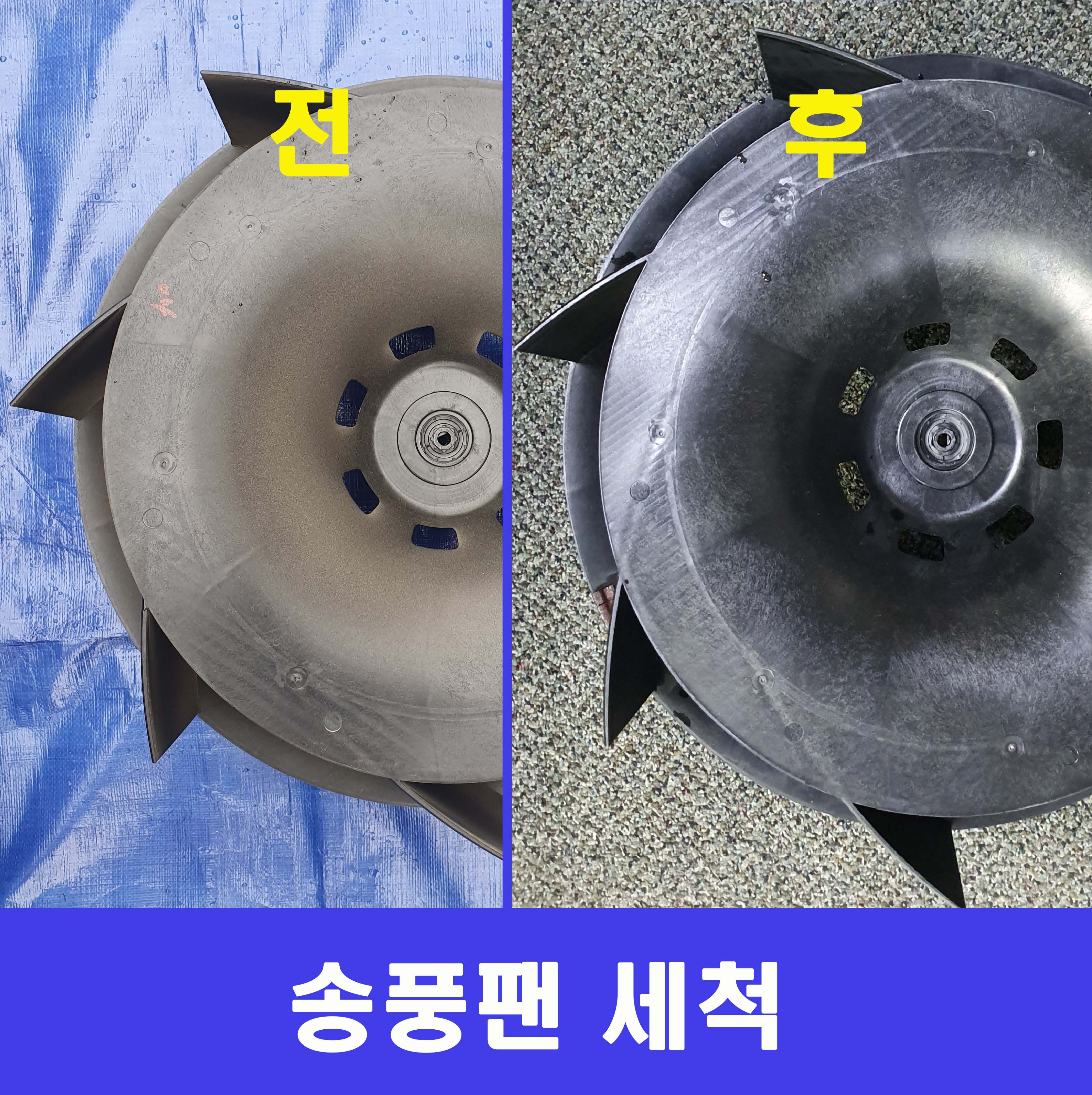 글로벌케어