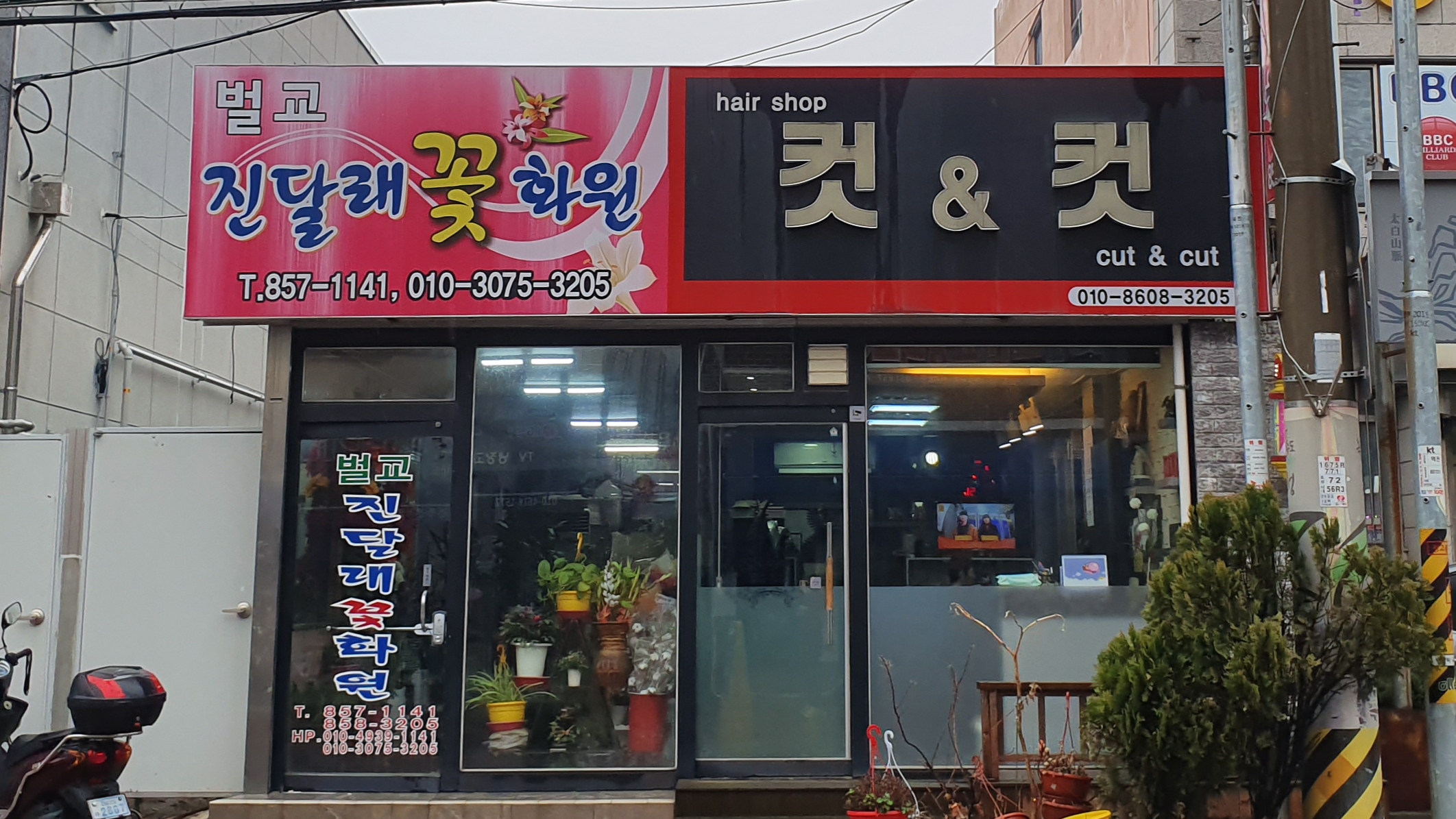 벌교진달래꽃화원