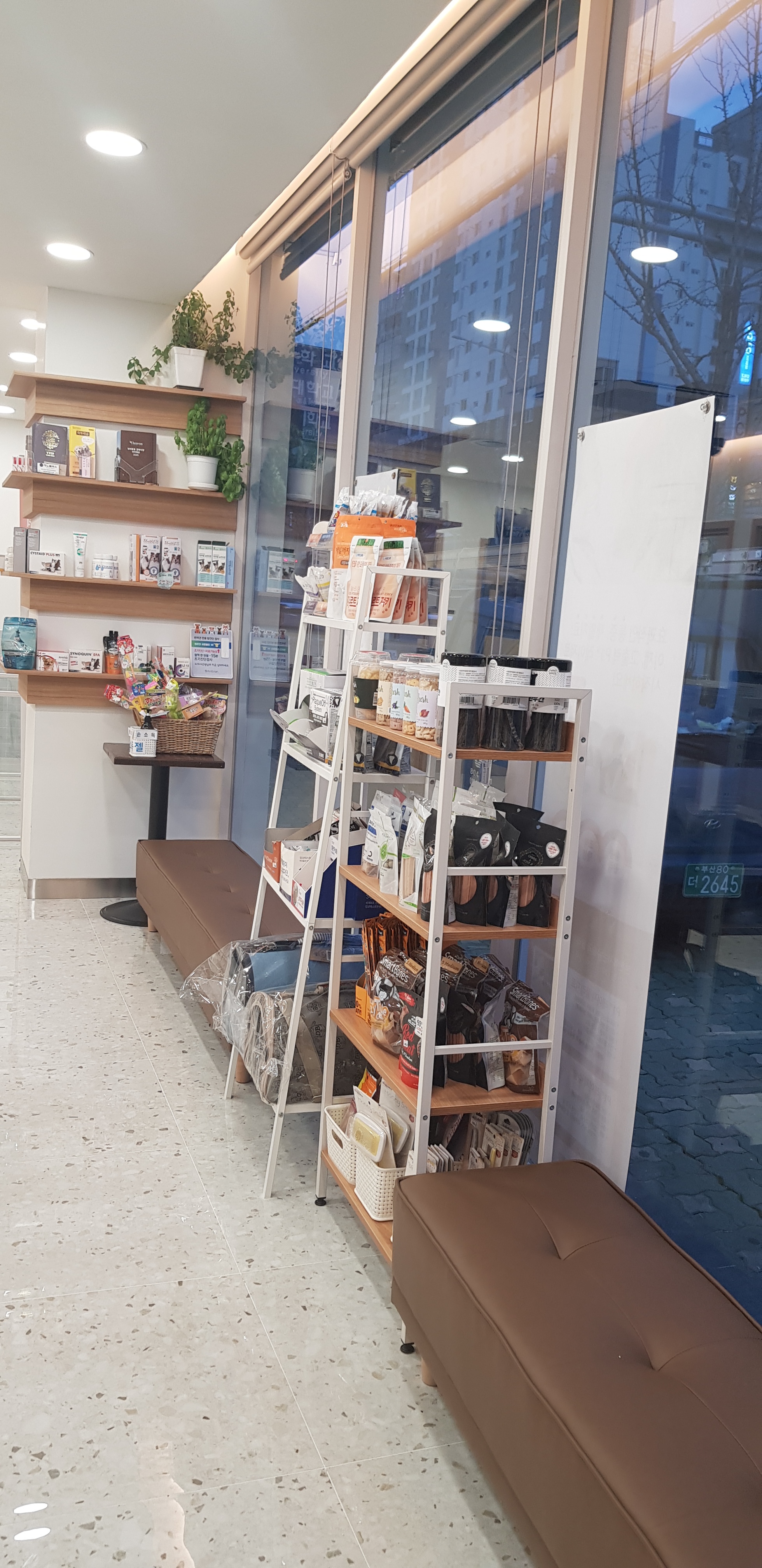 개금동물병원 대표 이미지