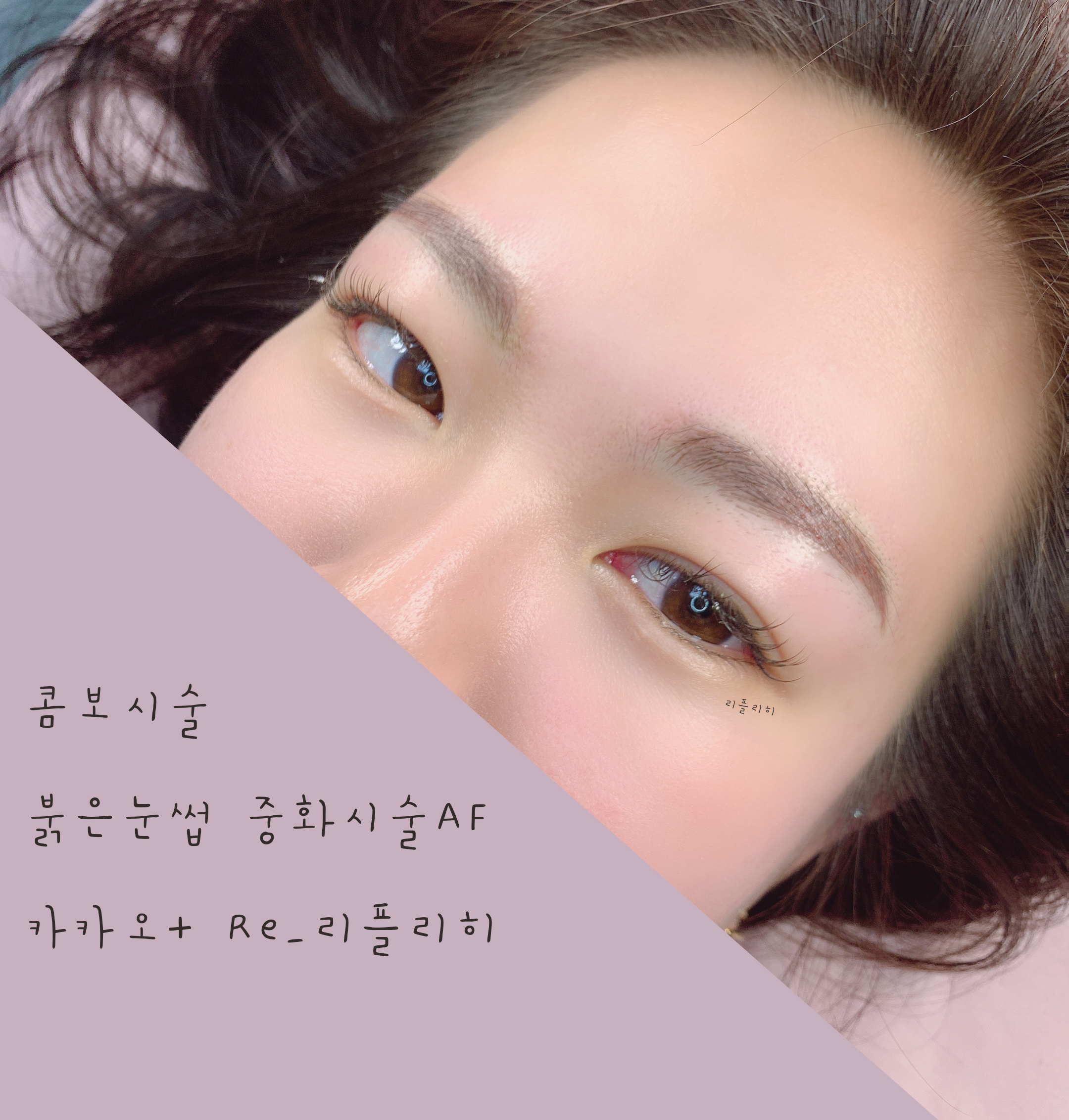 리플리히