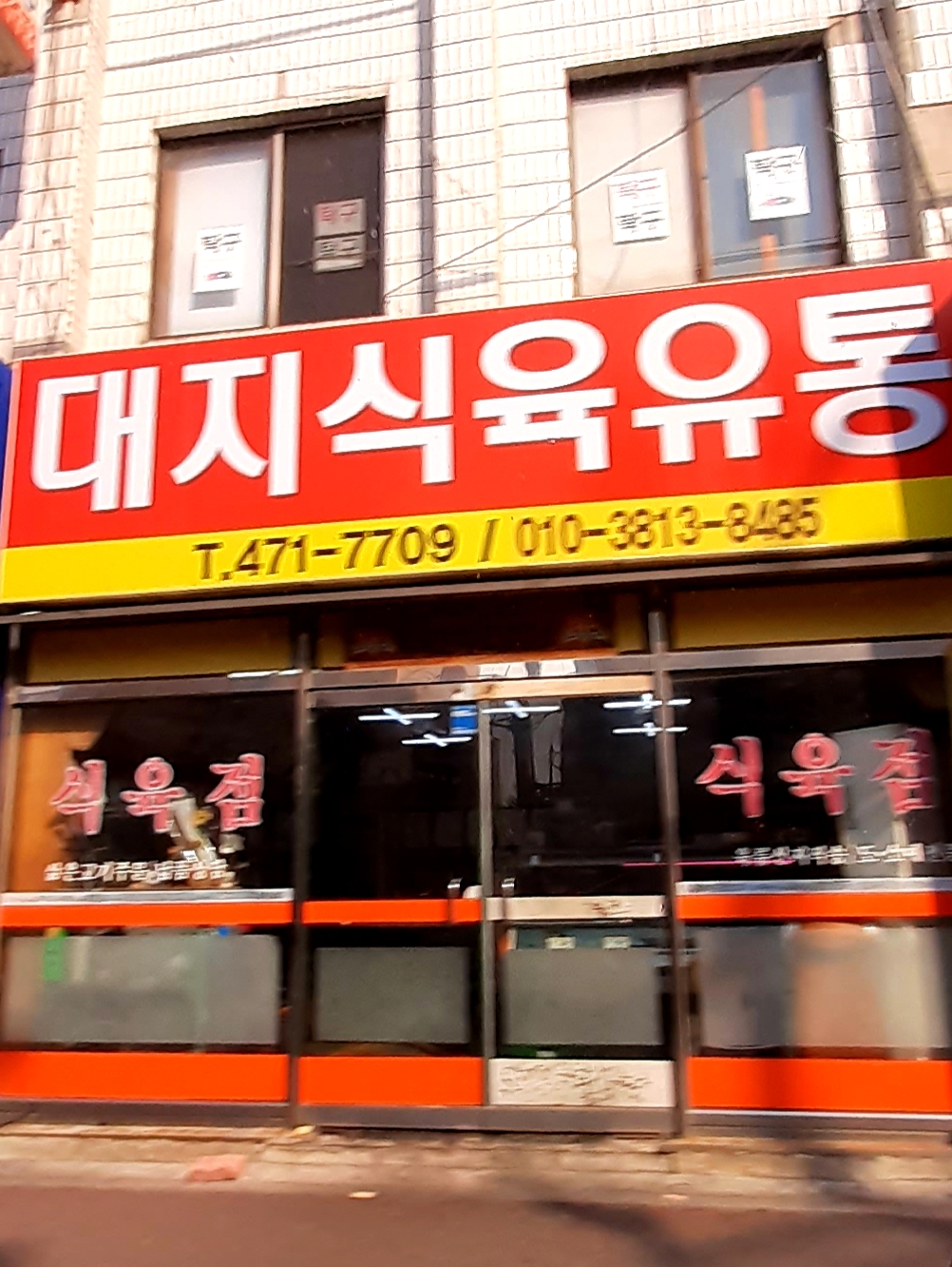 대지식육유통