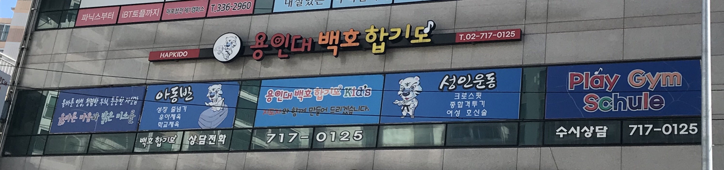 용인대백호합기도 대표 이미지