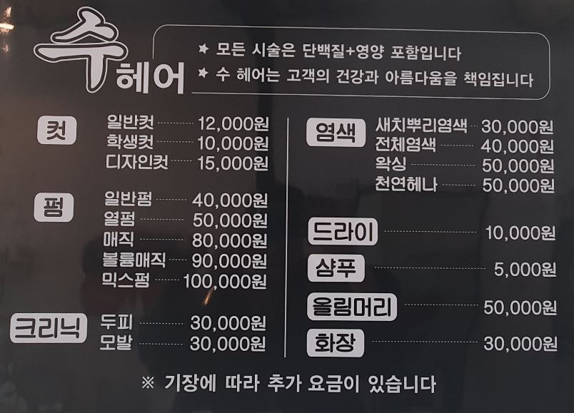 세종시 수헤어