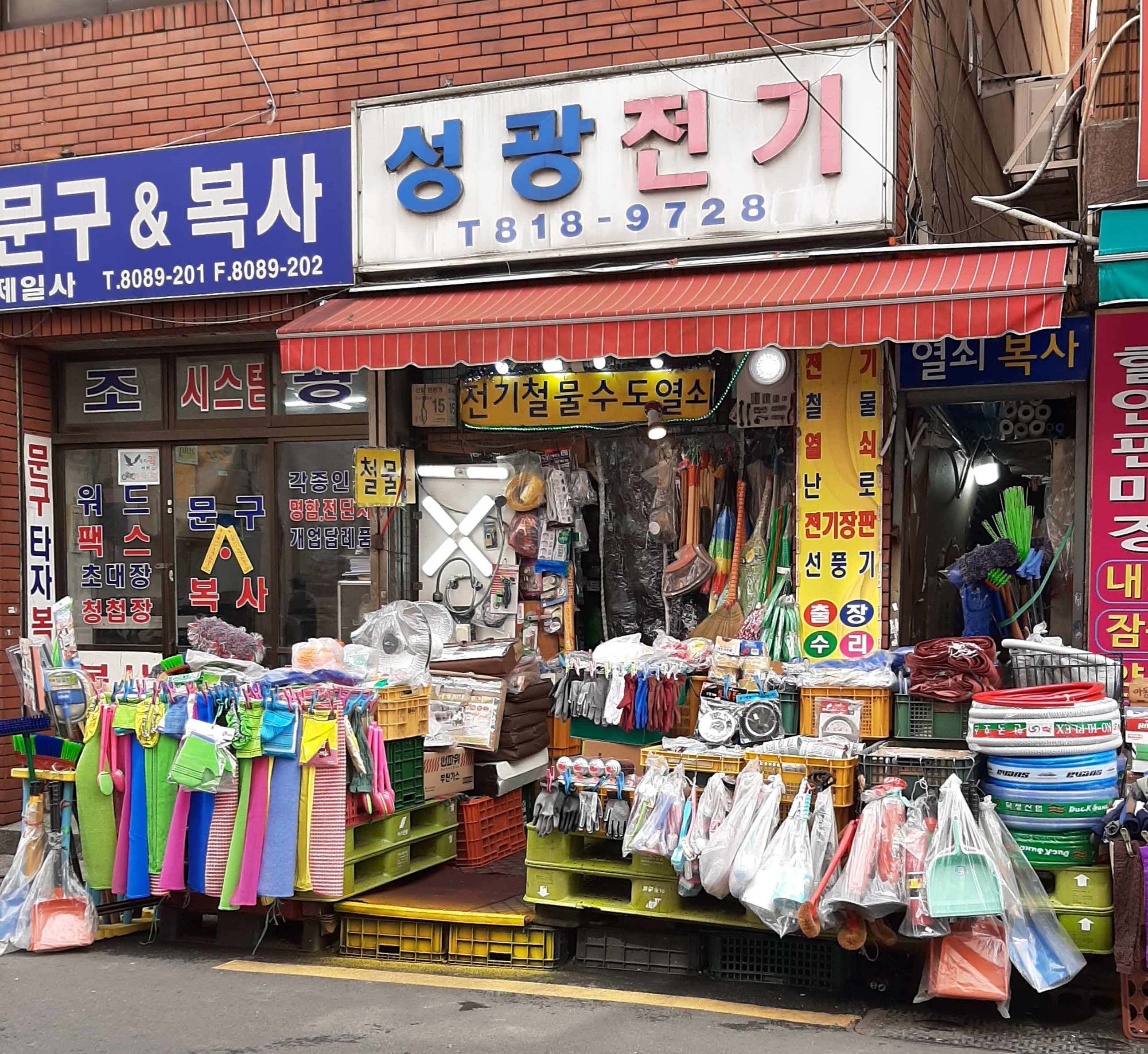 성광전기