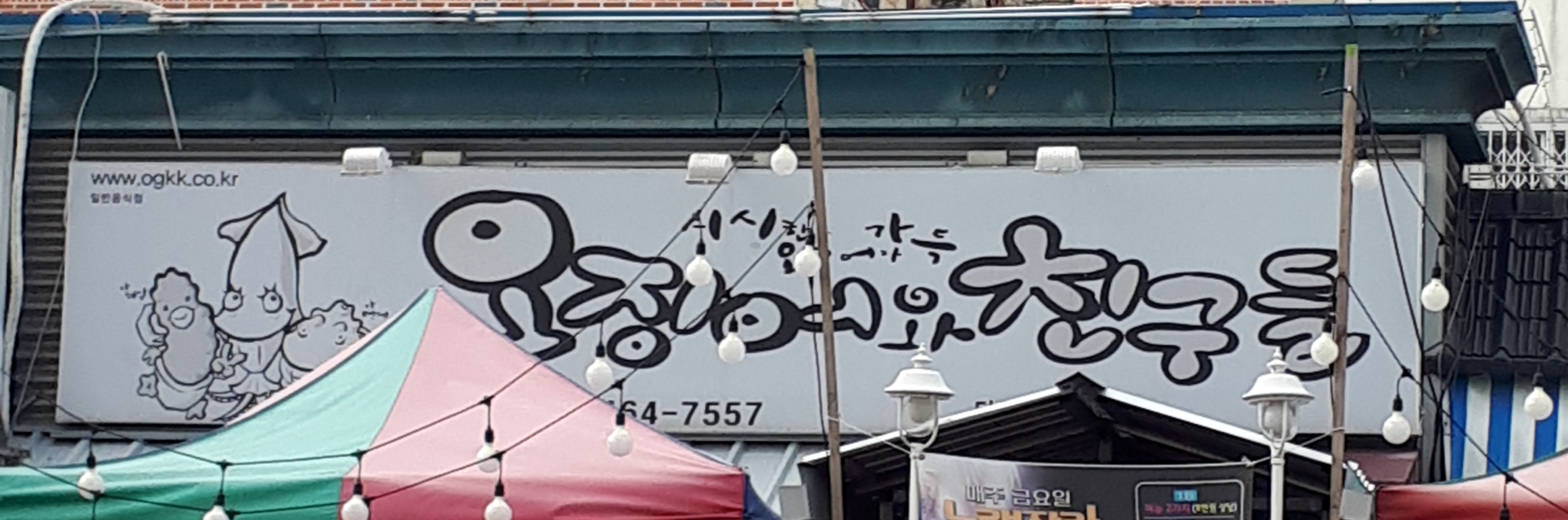 오징어와친구들