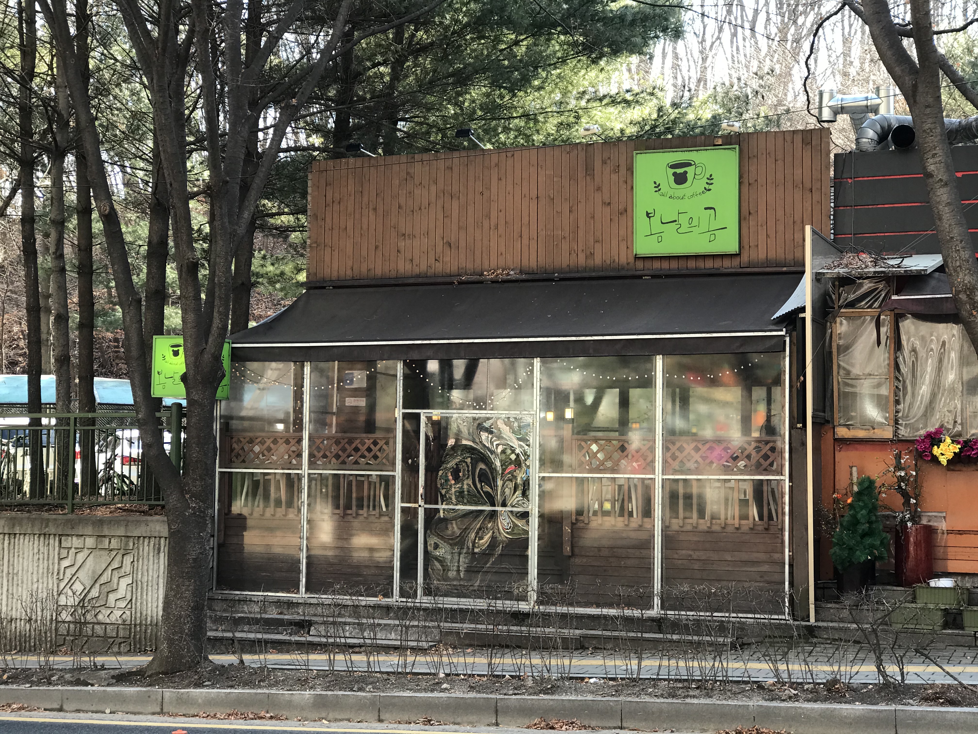 봄날의 곰