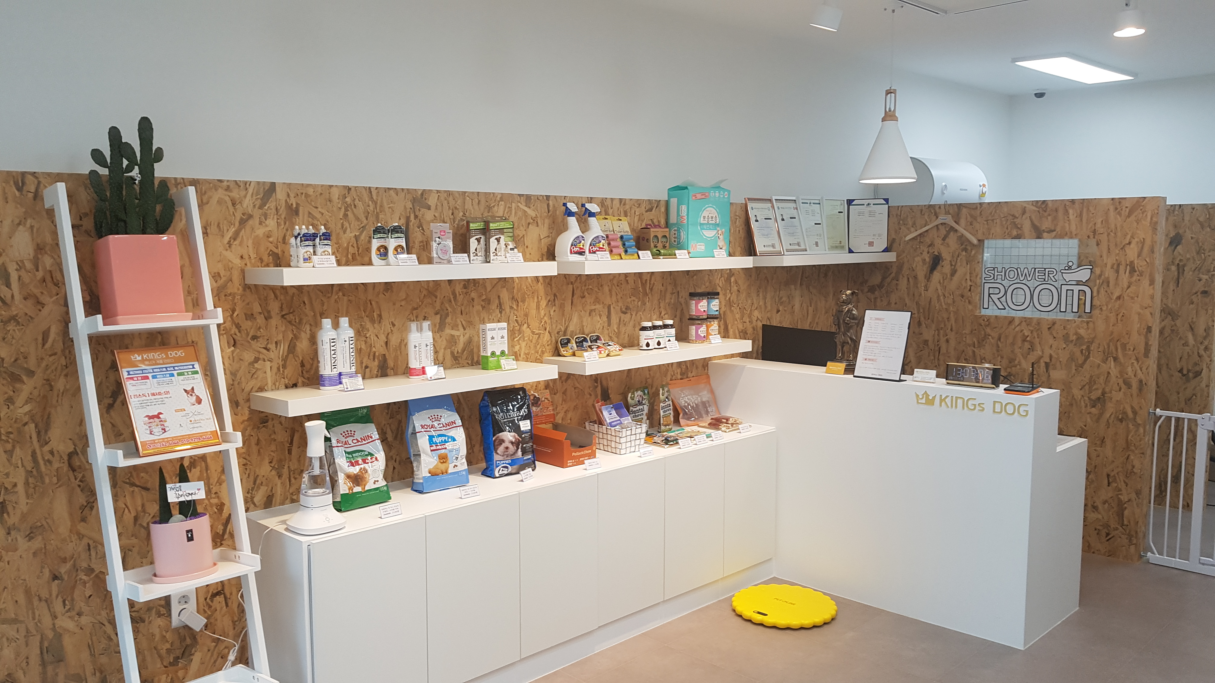 킹스독 대표 이미지