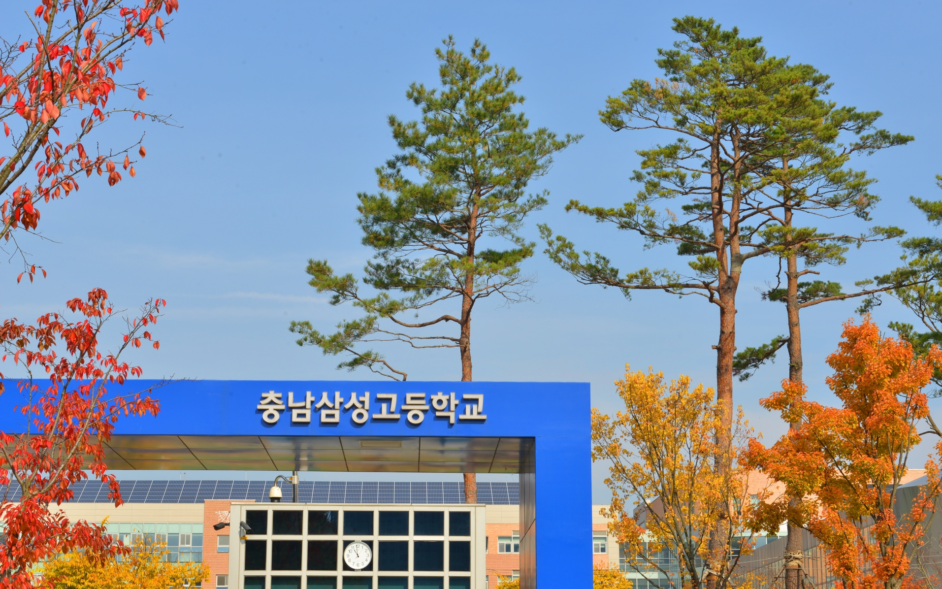 충남삼성고등학교