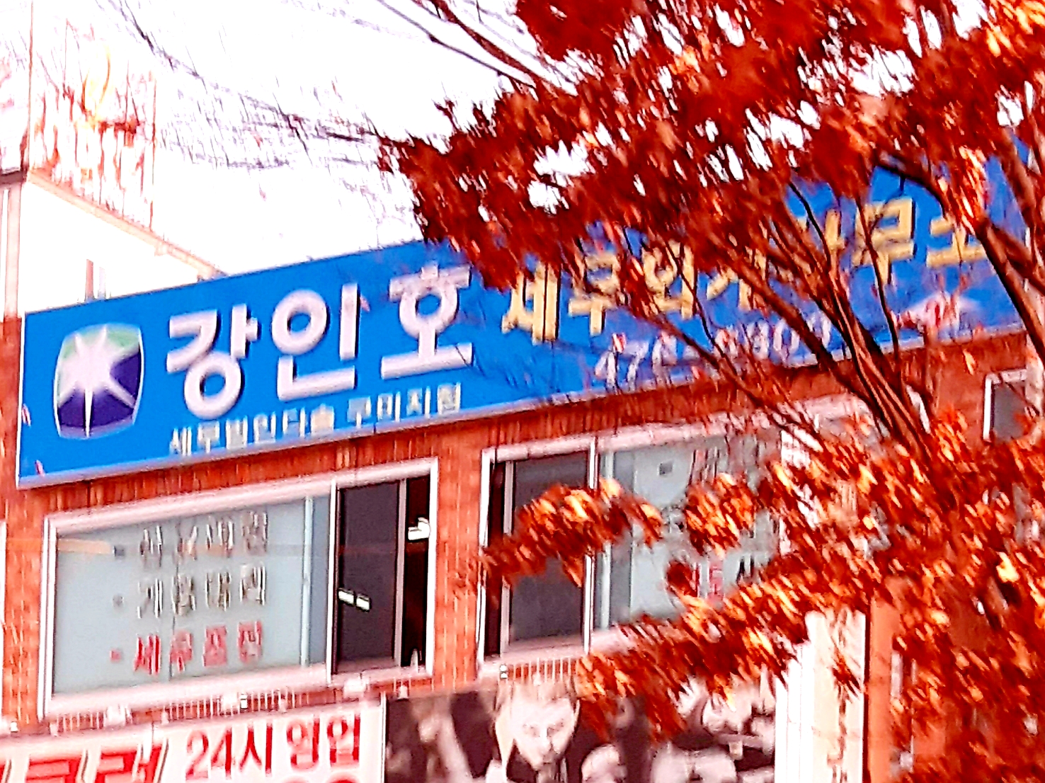 세무법인다솔 구미지점