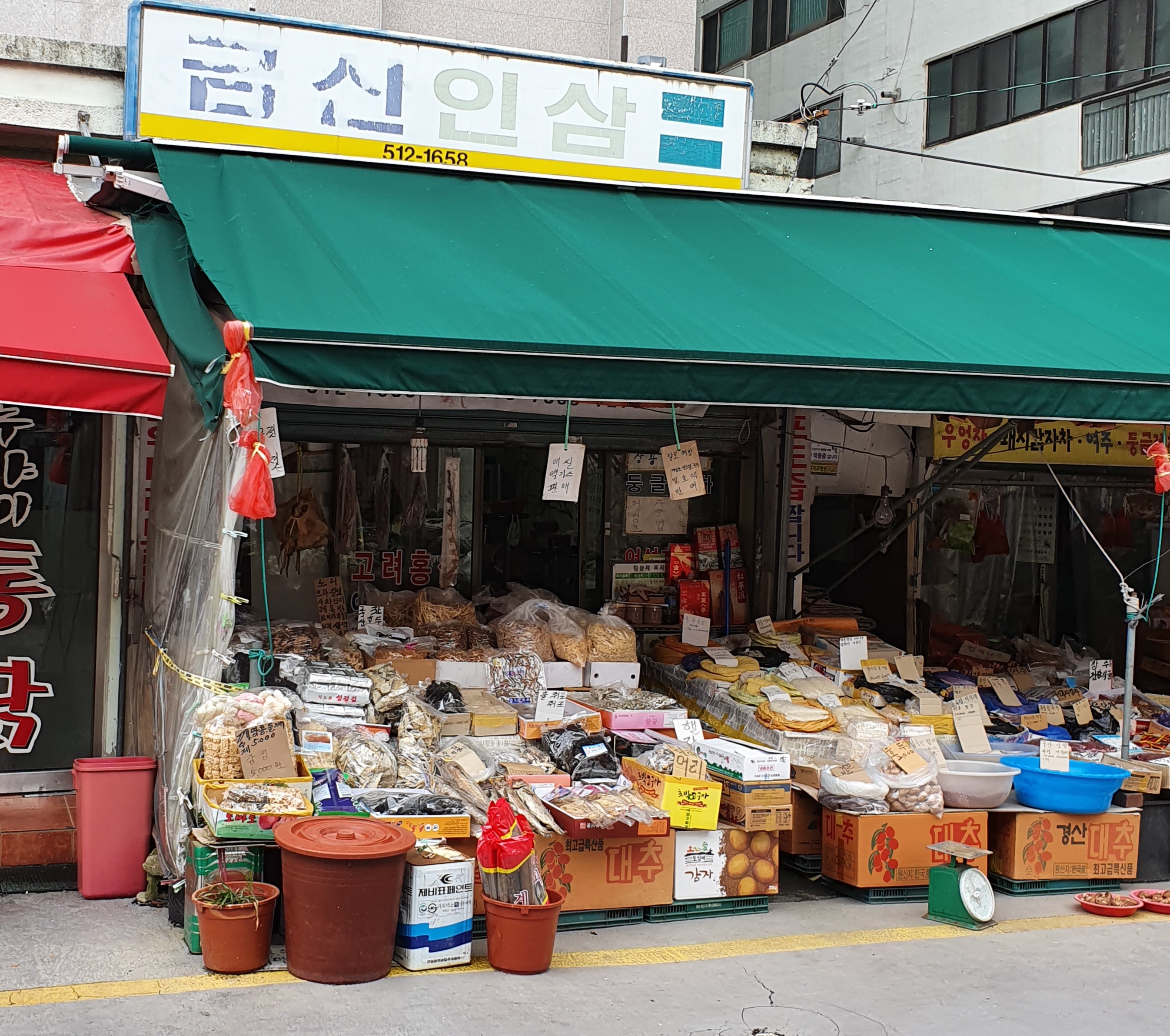 금산인삼