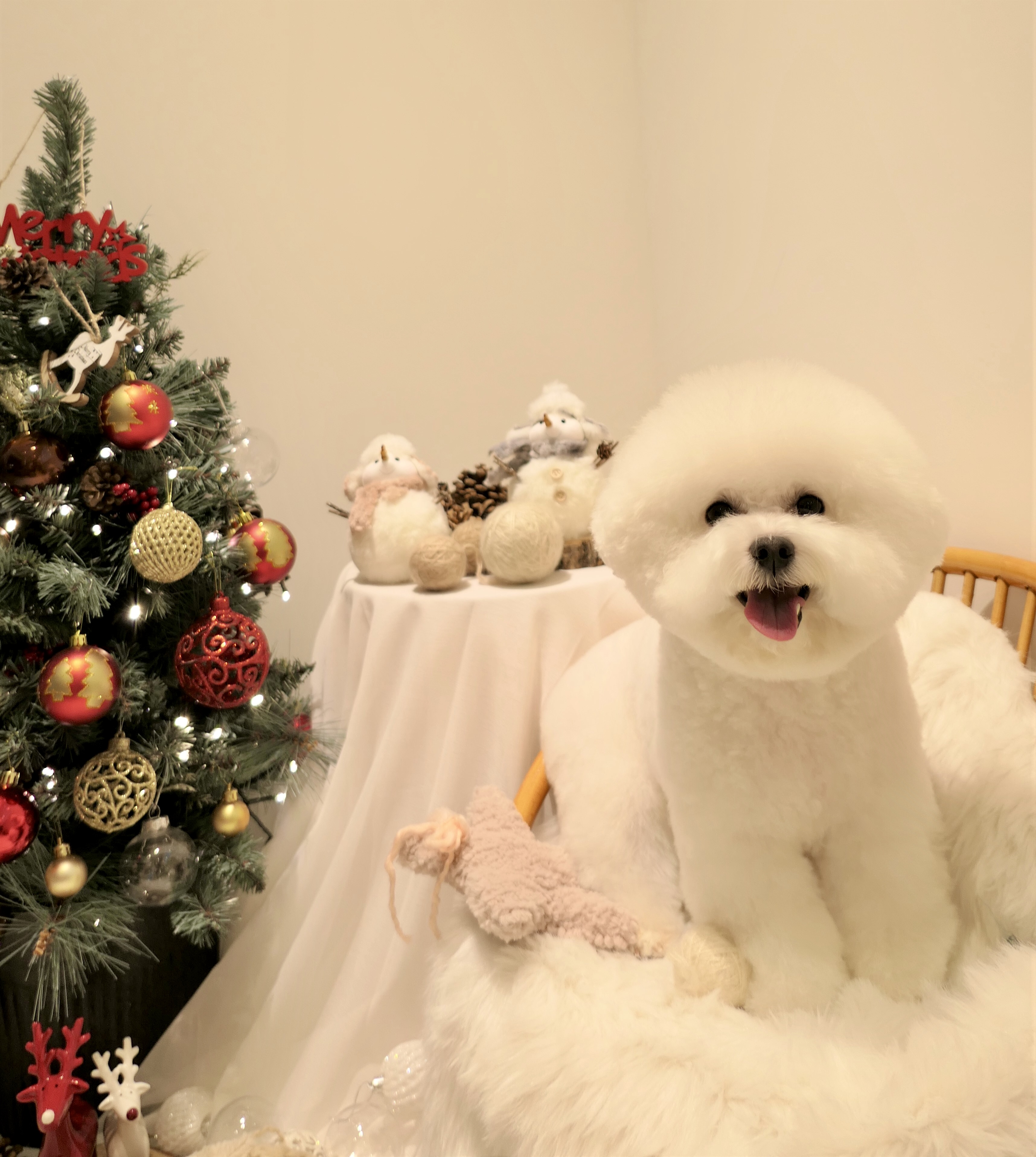 몽그리다