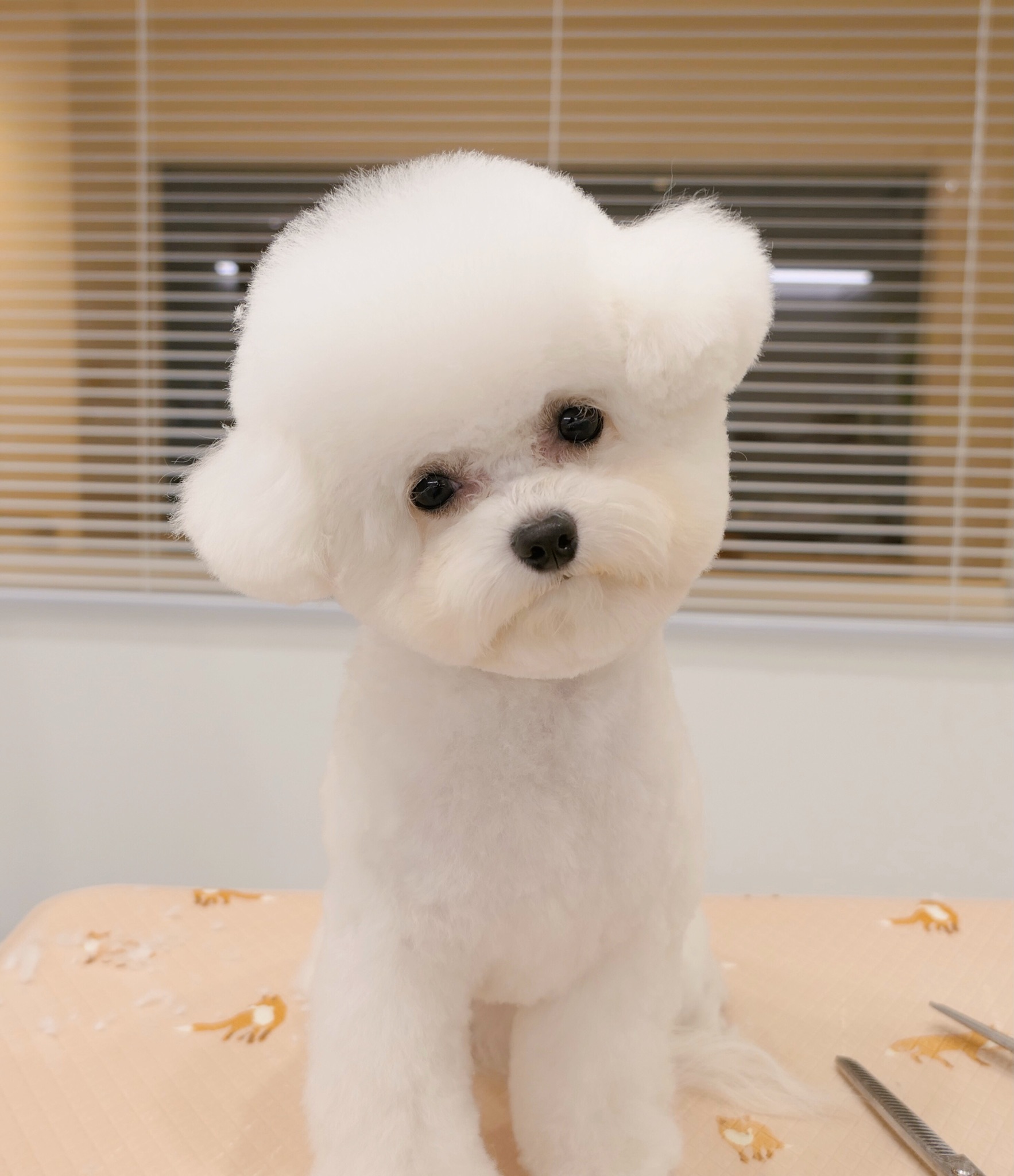 몽그리다