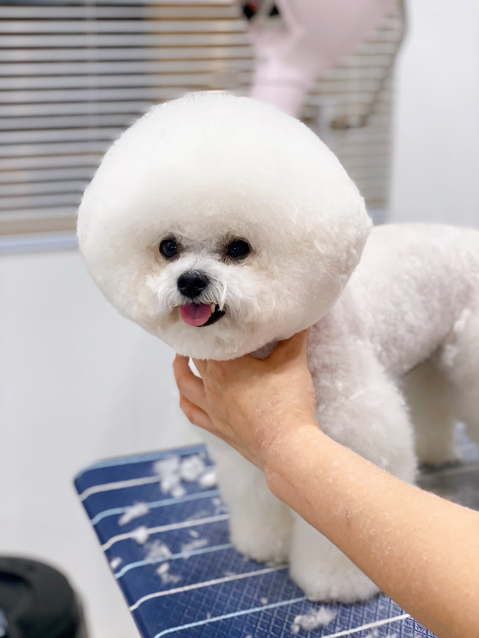 몽그리다