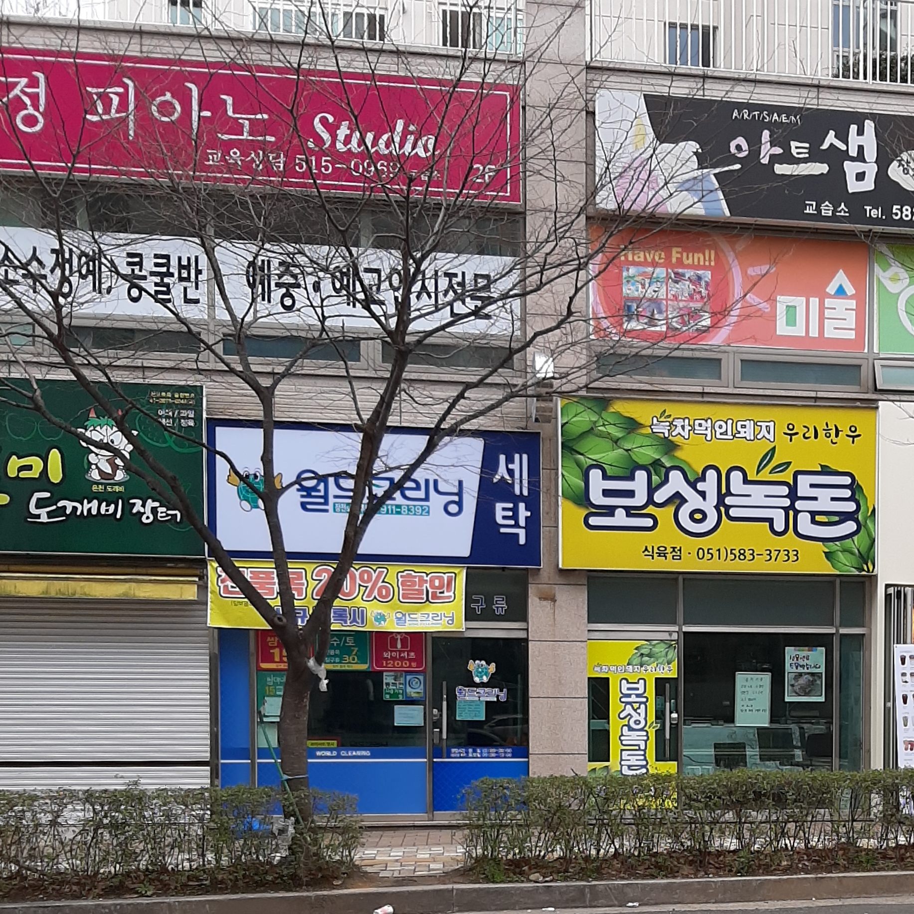 보성녹돈