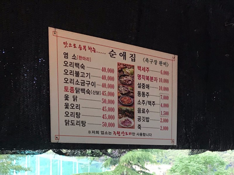 순애집