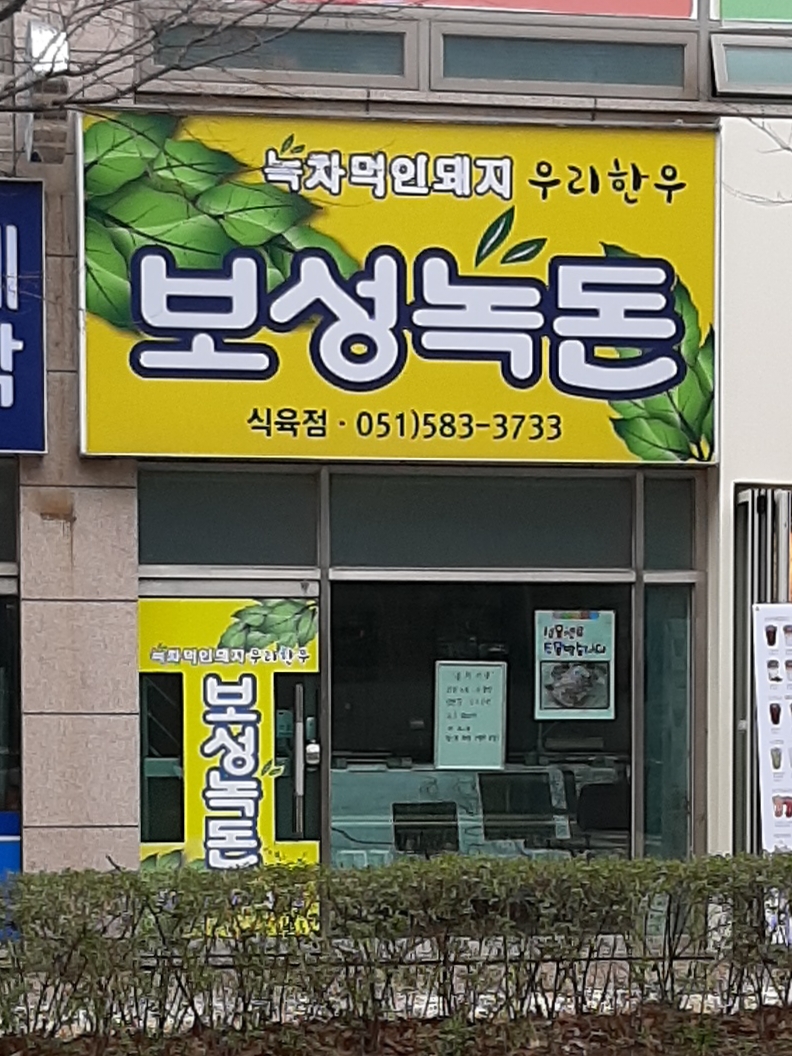 보성녹돈