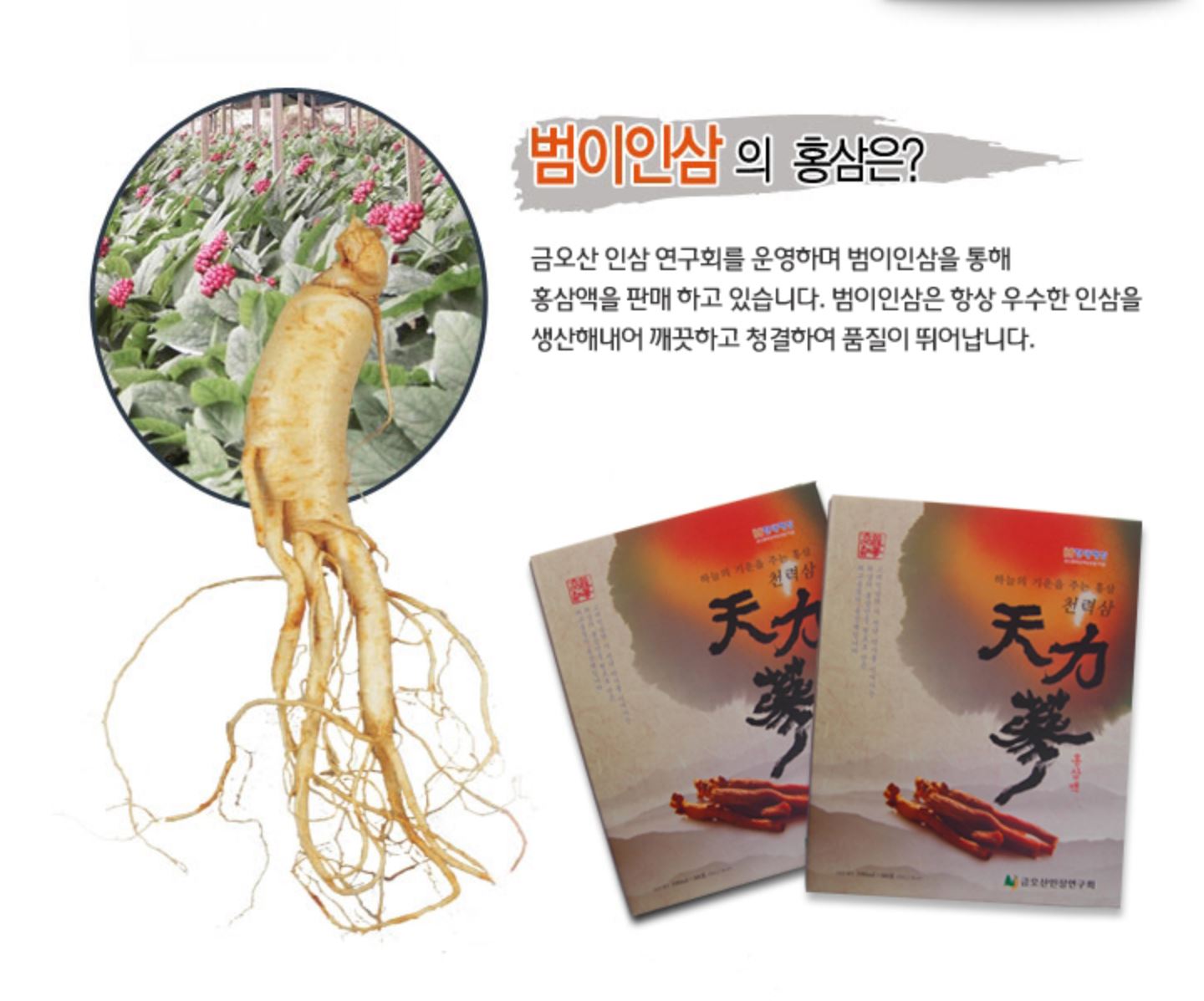 범이인삼