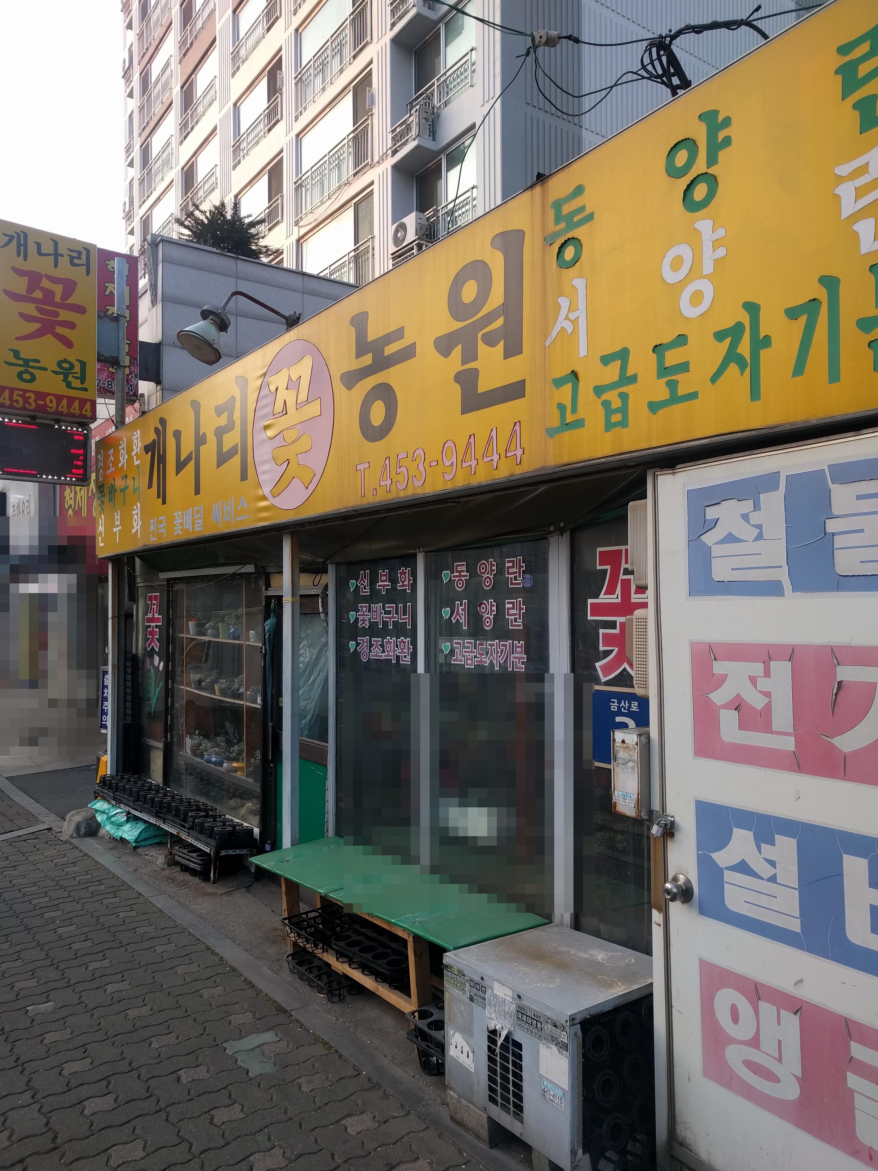개나리농원
