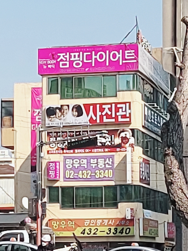 뉴바디점핑다이어트