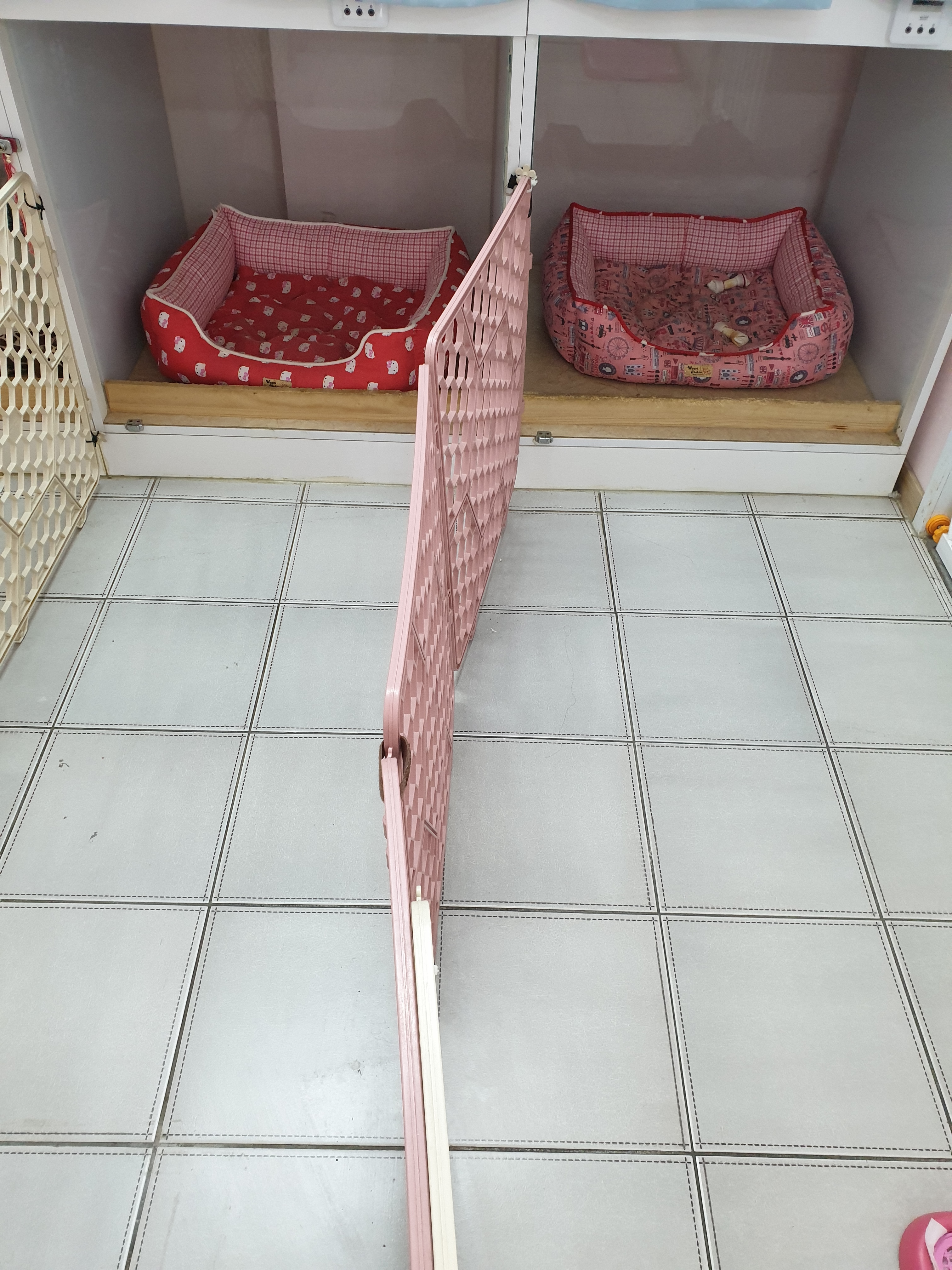 그린펫클럽 대표 이미지