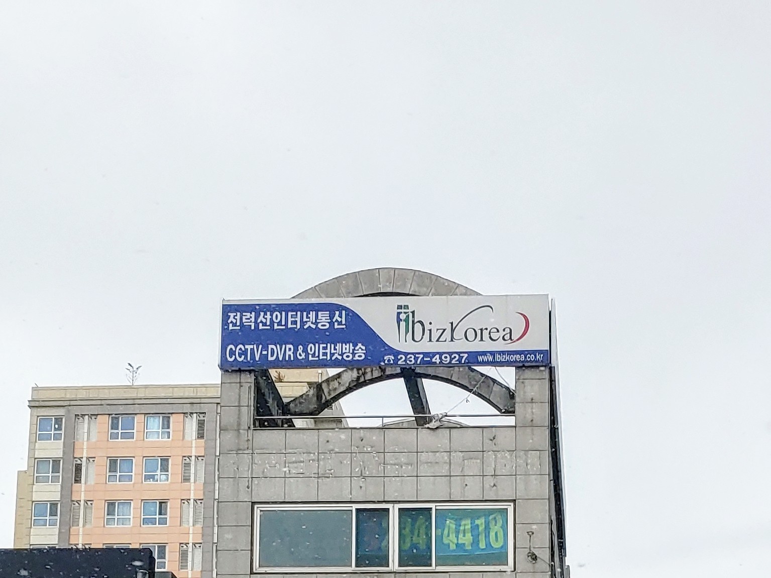 아이비지코리아