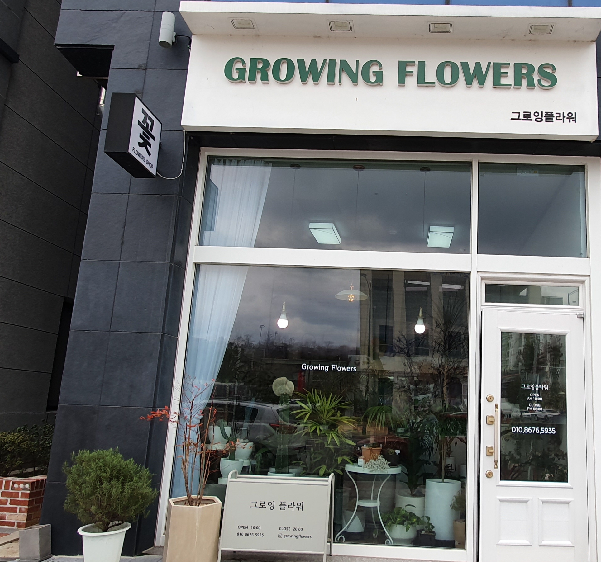 그로잉플라워