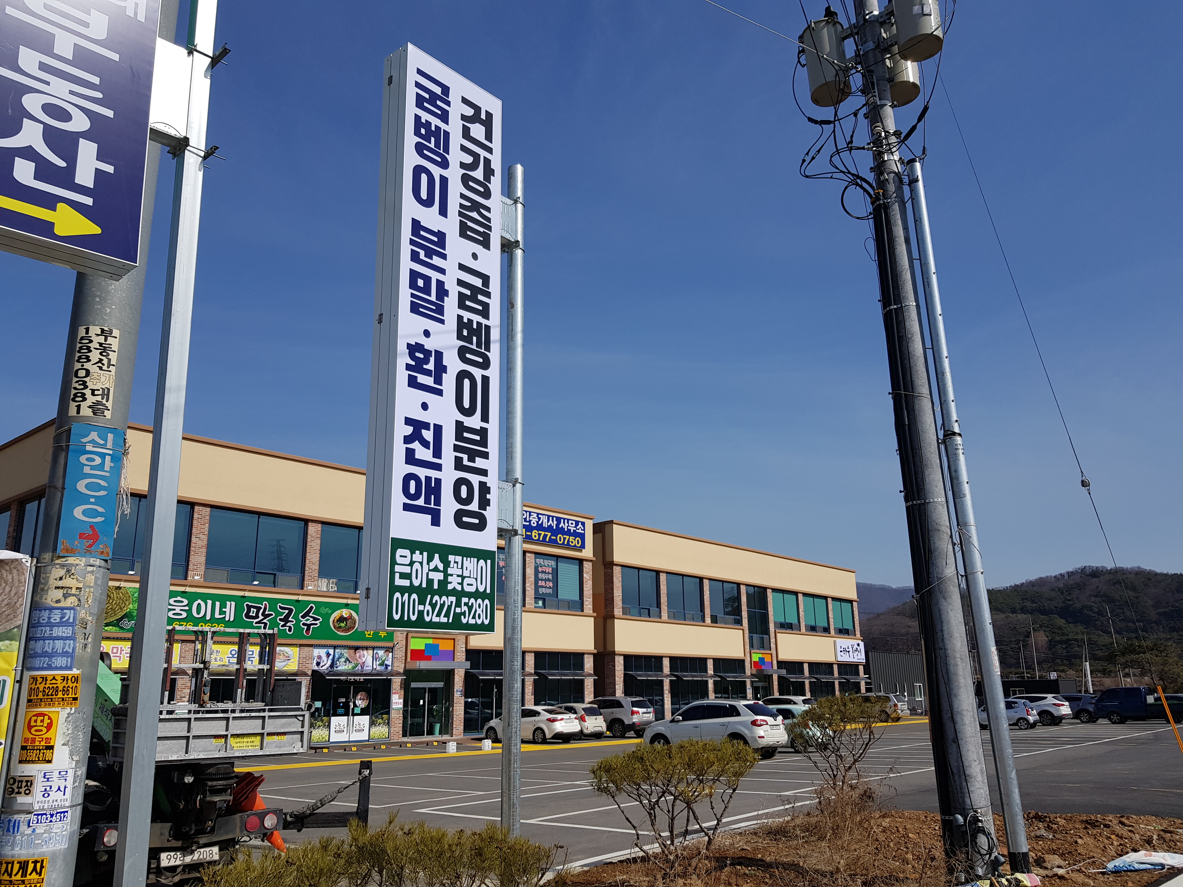 은하수꽃벵이