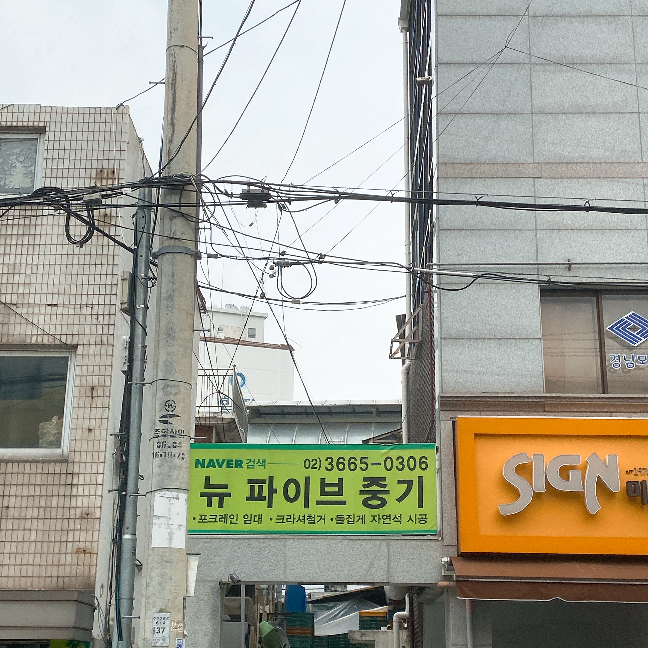 뉴파이브중기
