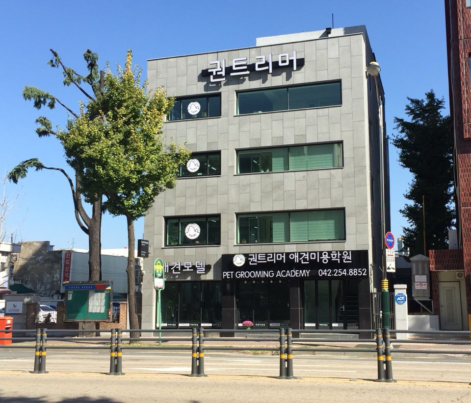 권트리머 애견모델미용실