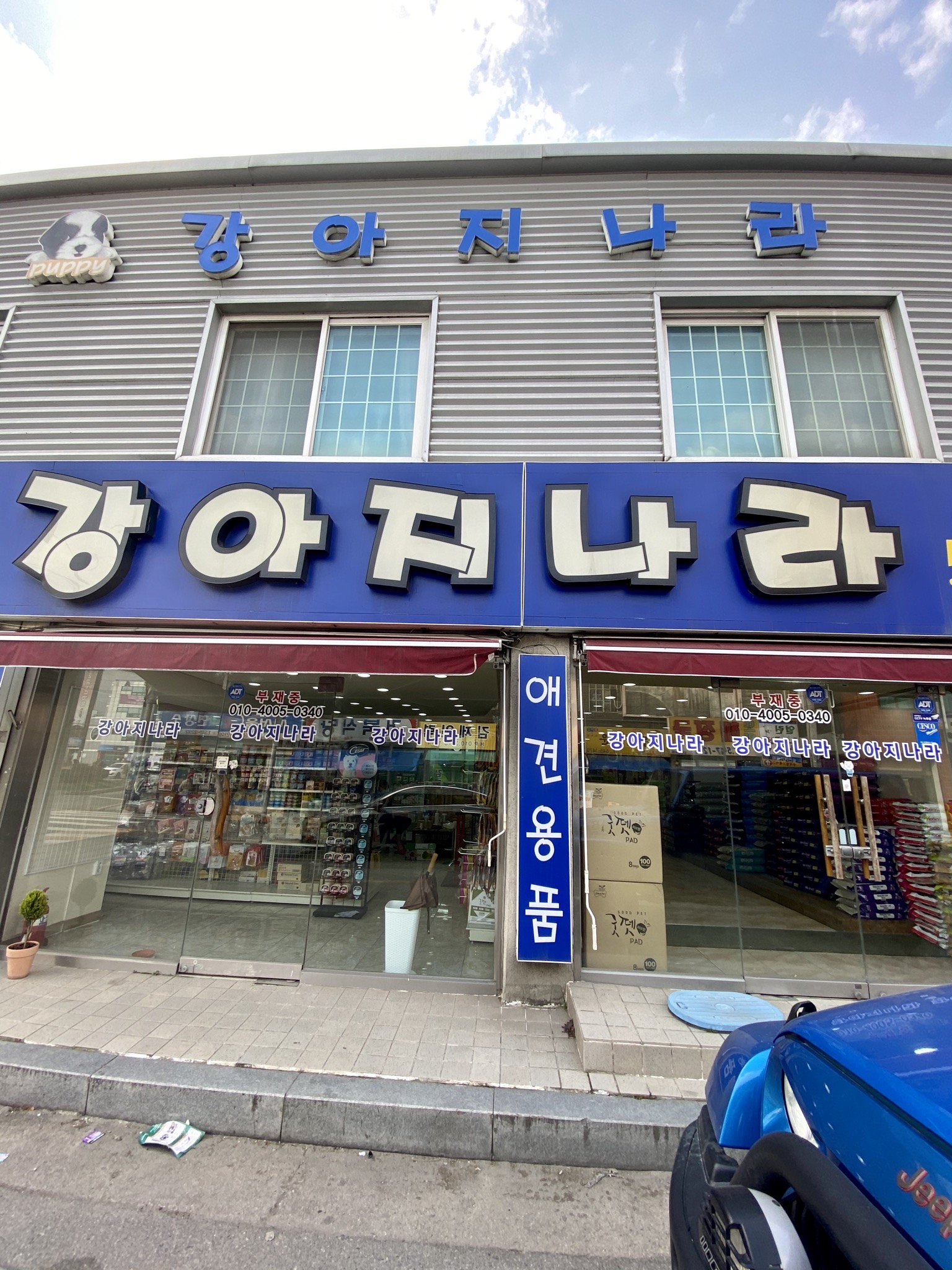강아지나라 대표 이미지