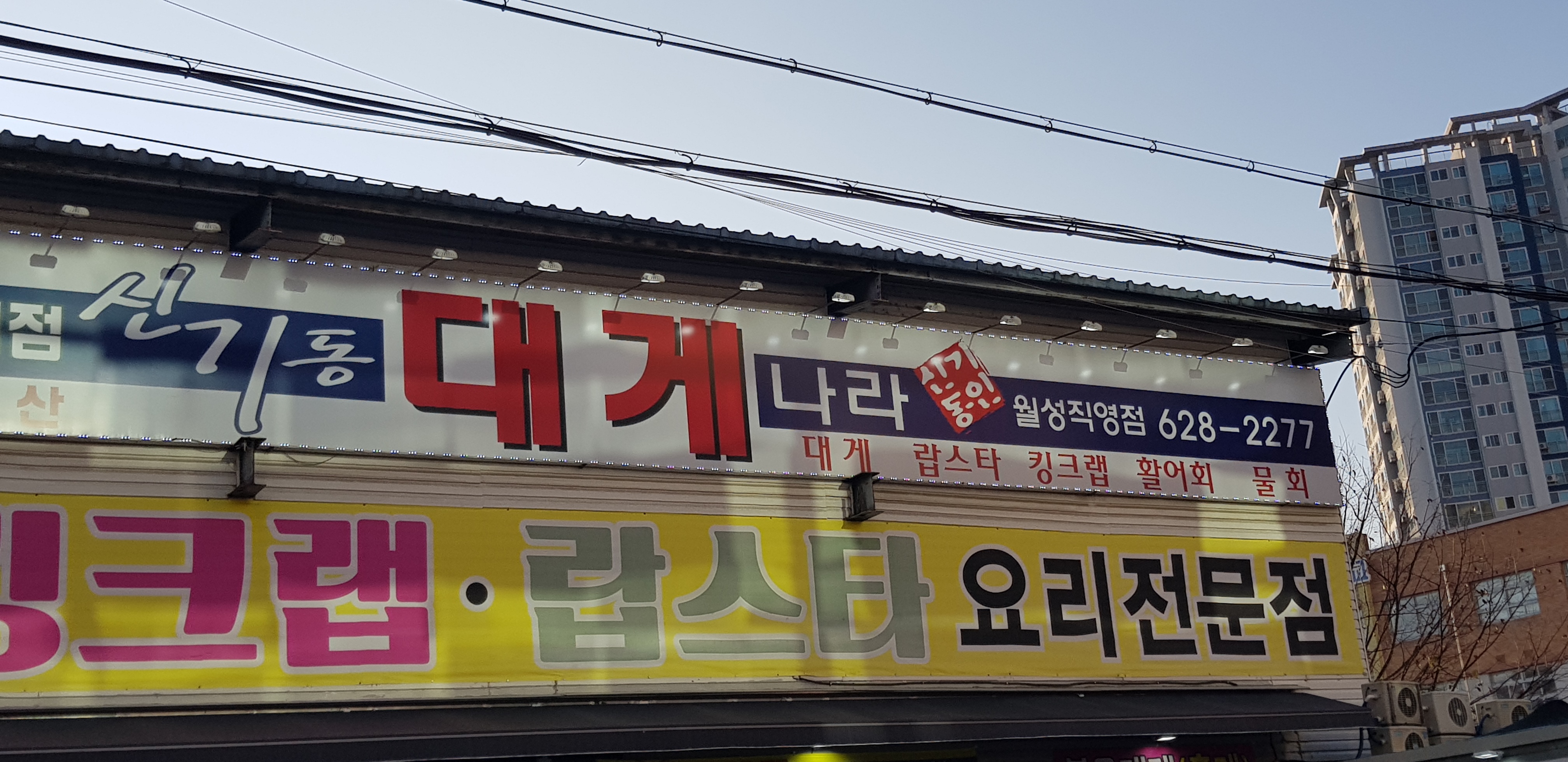 신기동대게나라